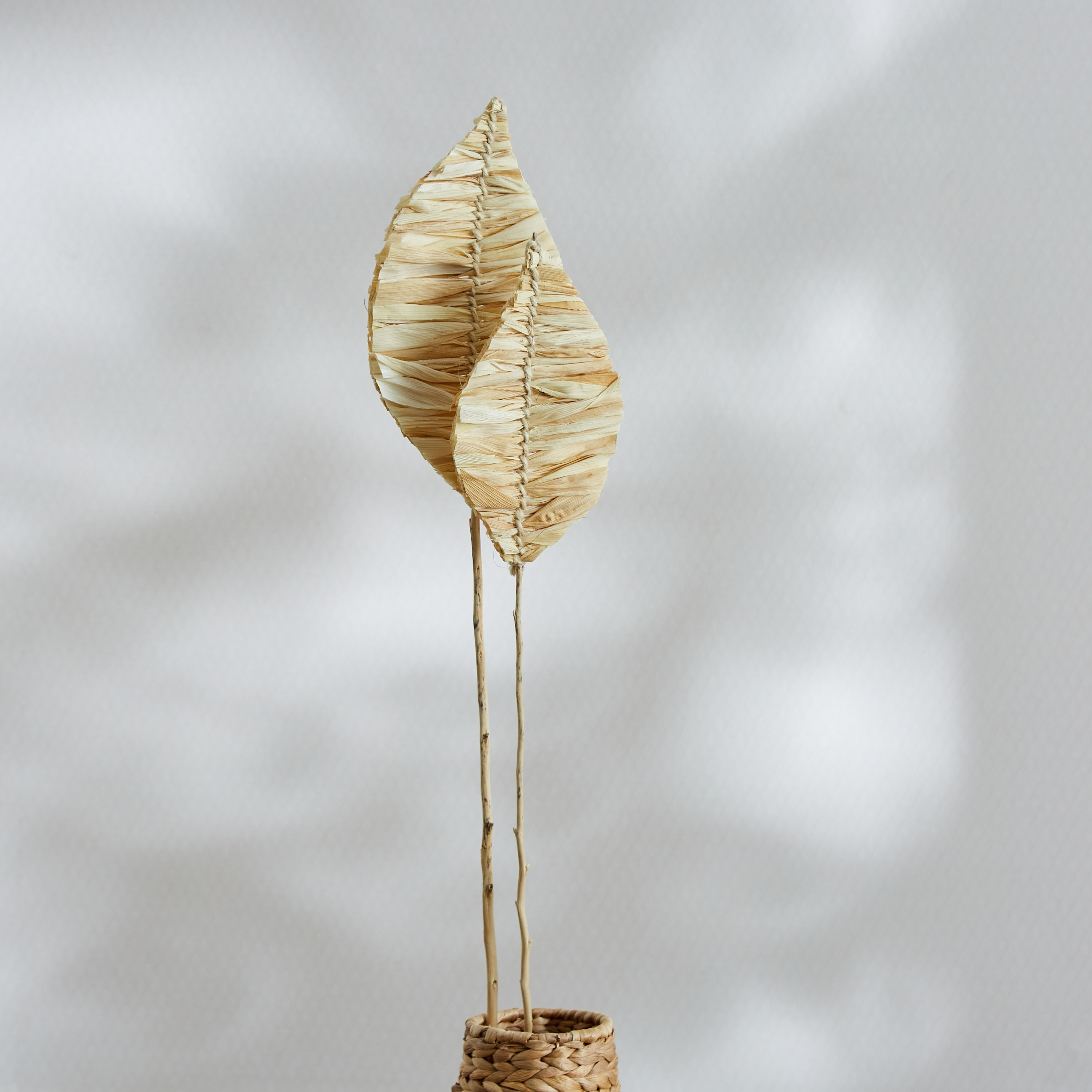 ورقتان ذرة على غصن فردي من مايلي  - 100 سم-hbxdecorandfurnishings-homeaccessories-artificialflowersandplants-image-1