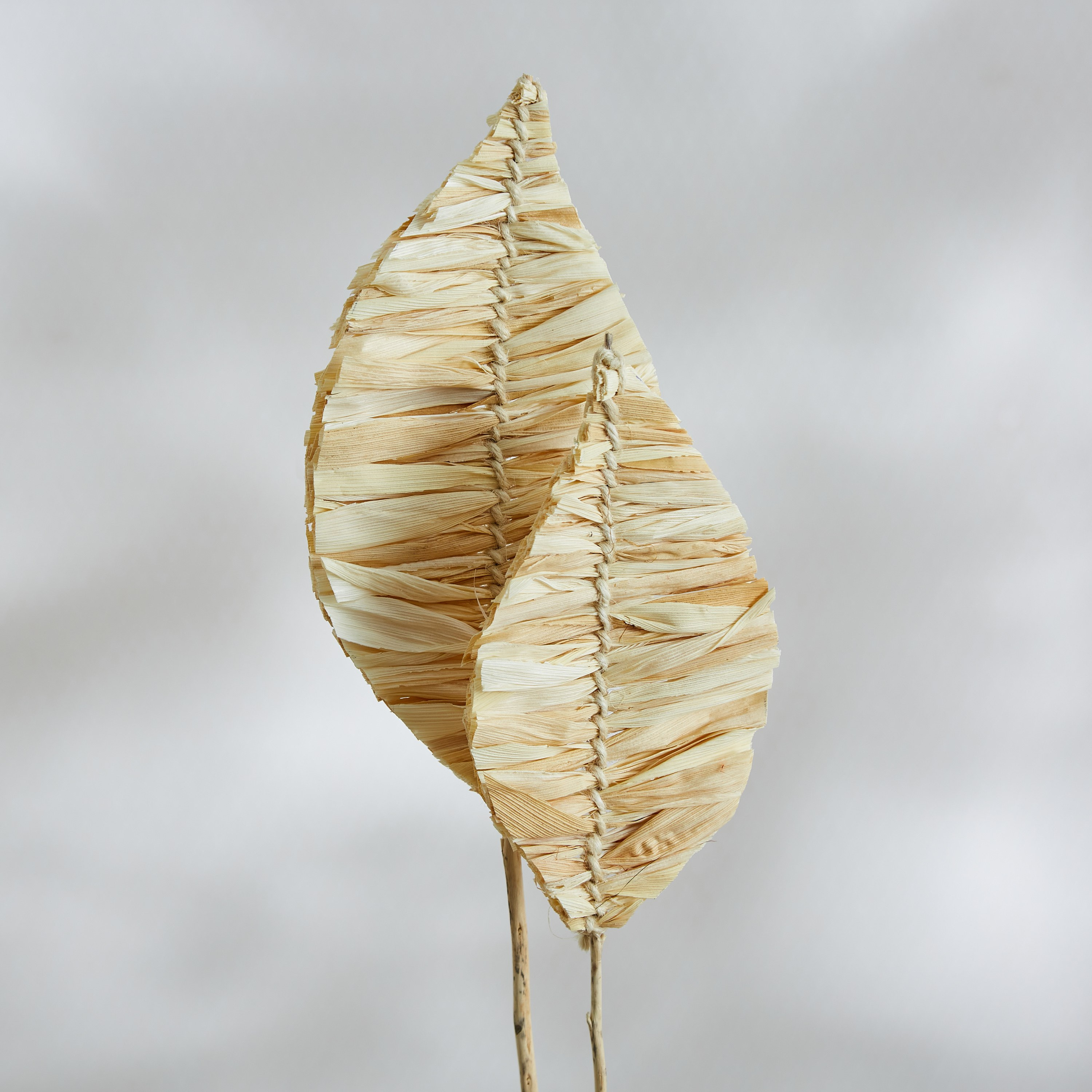 ورقتان ذرة على غصن فردي من مايلي  - 100 سم-hbxdecorandfurnishings-homeaccessories-artificialflowersandplants-image-2