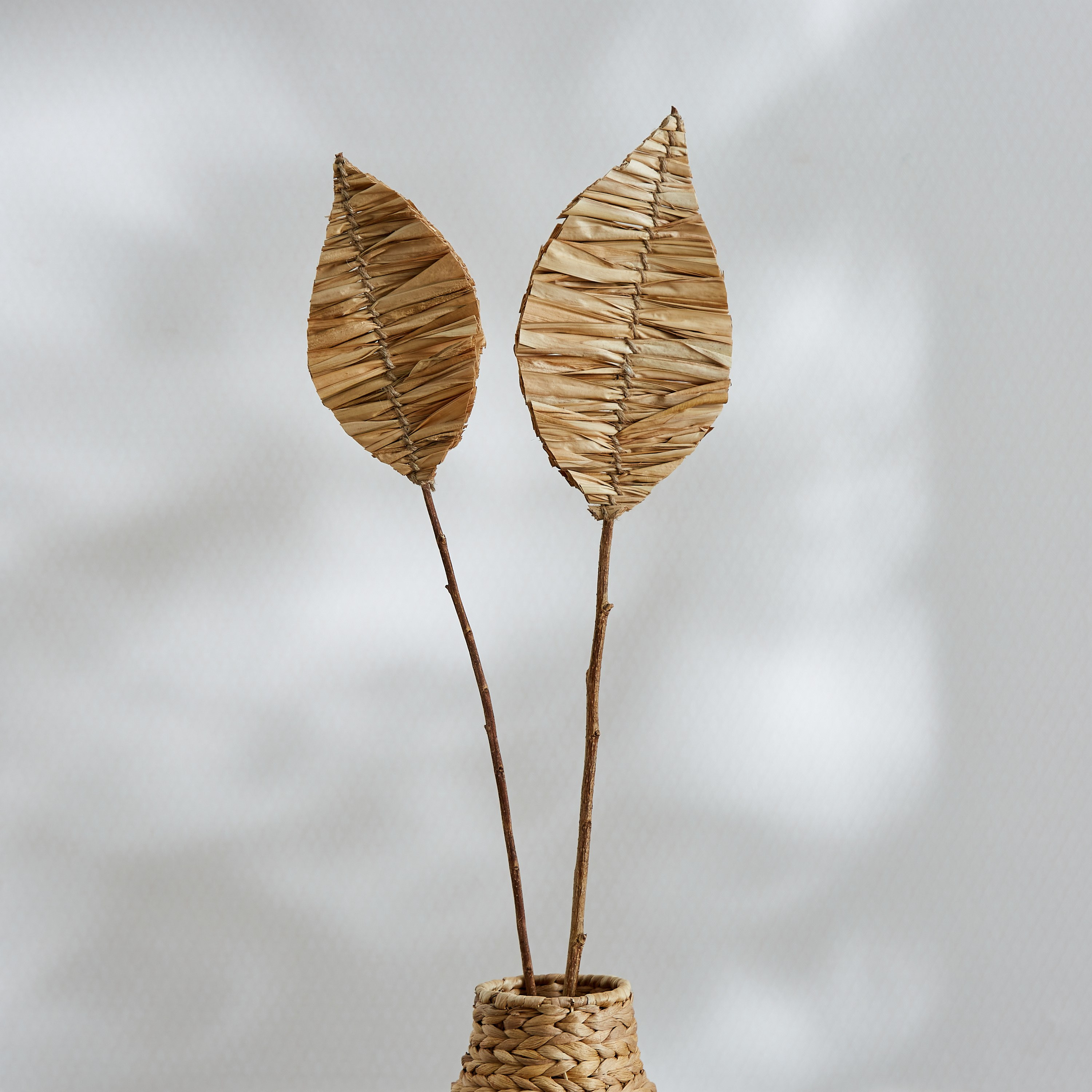 جذع فردي مجفف من مايلي - 100 سم-hbxdecorandfurnishings-homeaccessories-artificialflowersandplants-image-1
