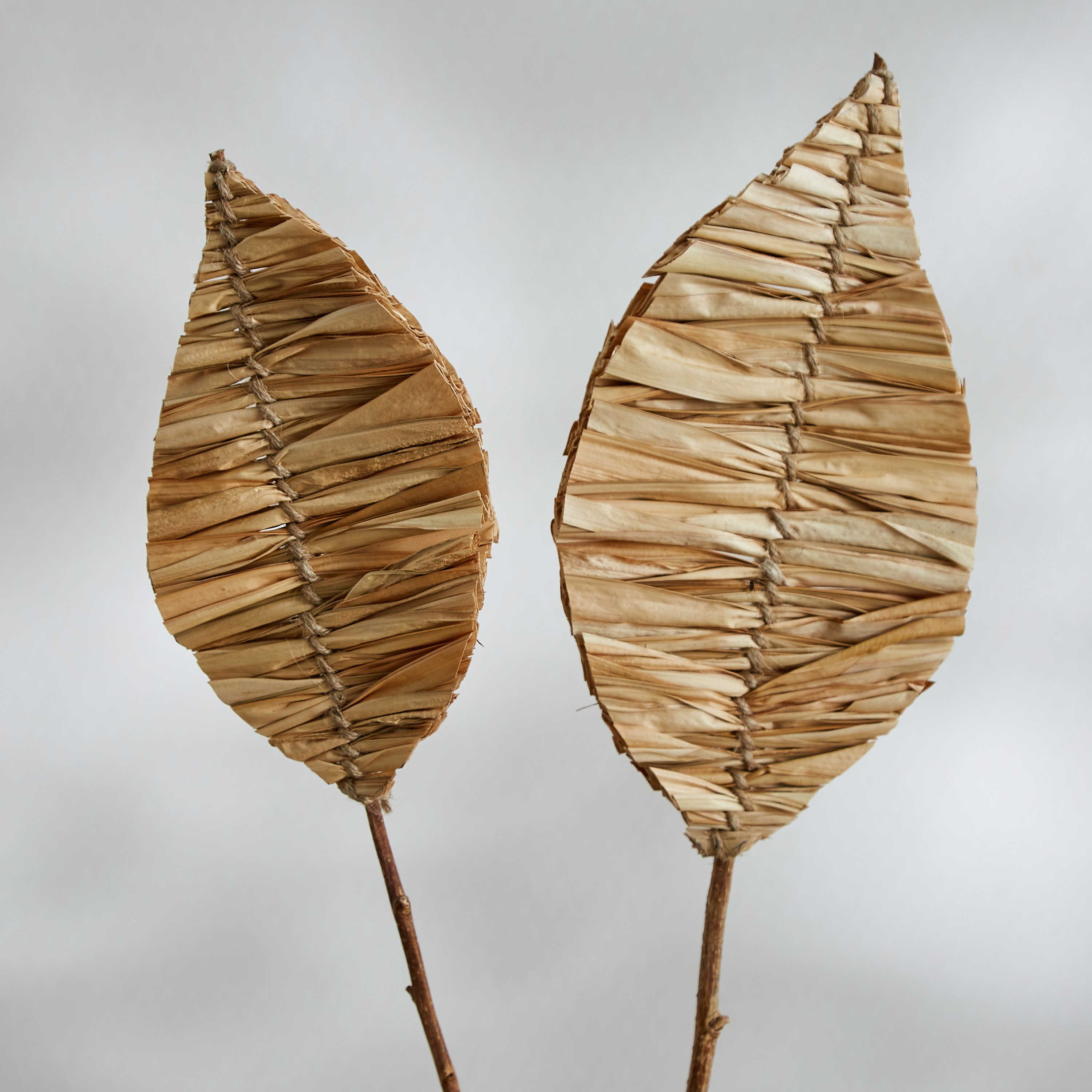 جذع فردي مجفف من مايلي - 100 سم-hbxdecorandfurnishings-homeaccessories-artificialflowersandplants-image-2