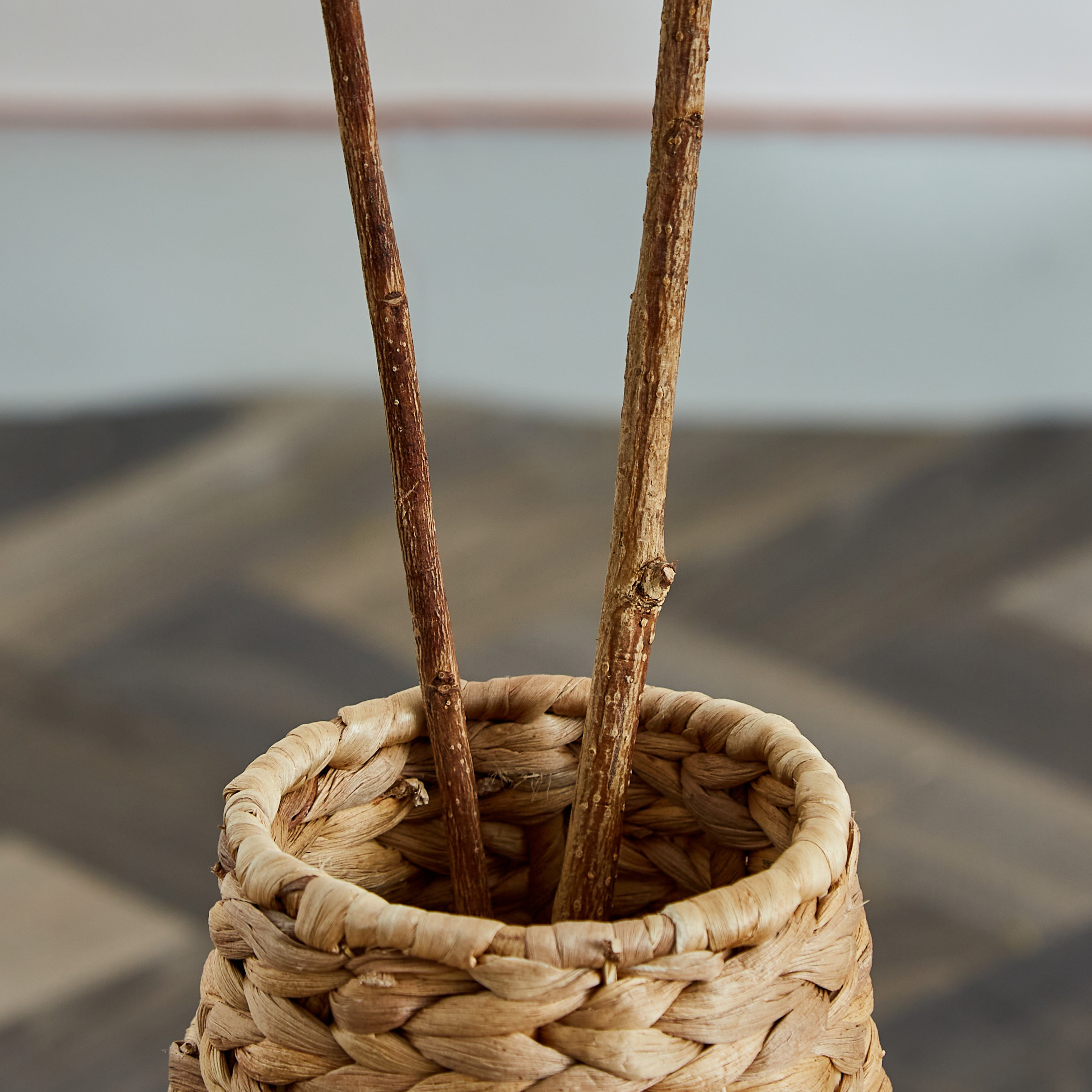 جذع فردي مجفف من مايلي - 100 سم-hbxdecorandfurnishings-homeaccessories-artificialflowersandplants-image-3