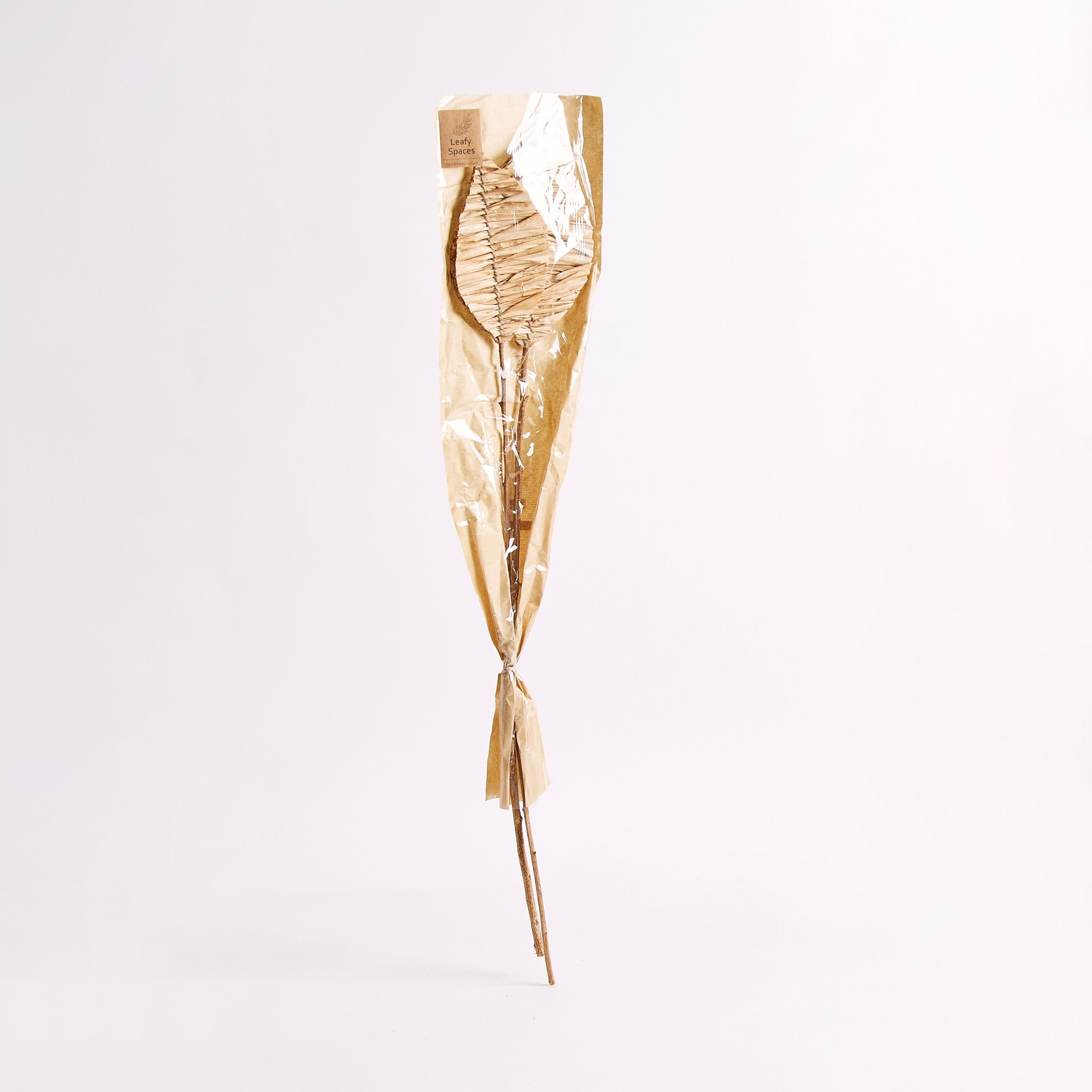 جذع فردي مجفف من مايلي - 100 سم-hbxdecorandfurnishings-homeaccessories-artificialflowersandplants-image-5