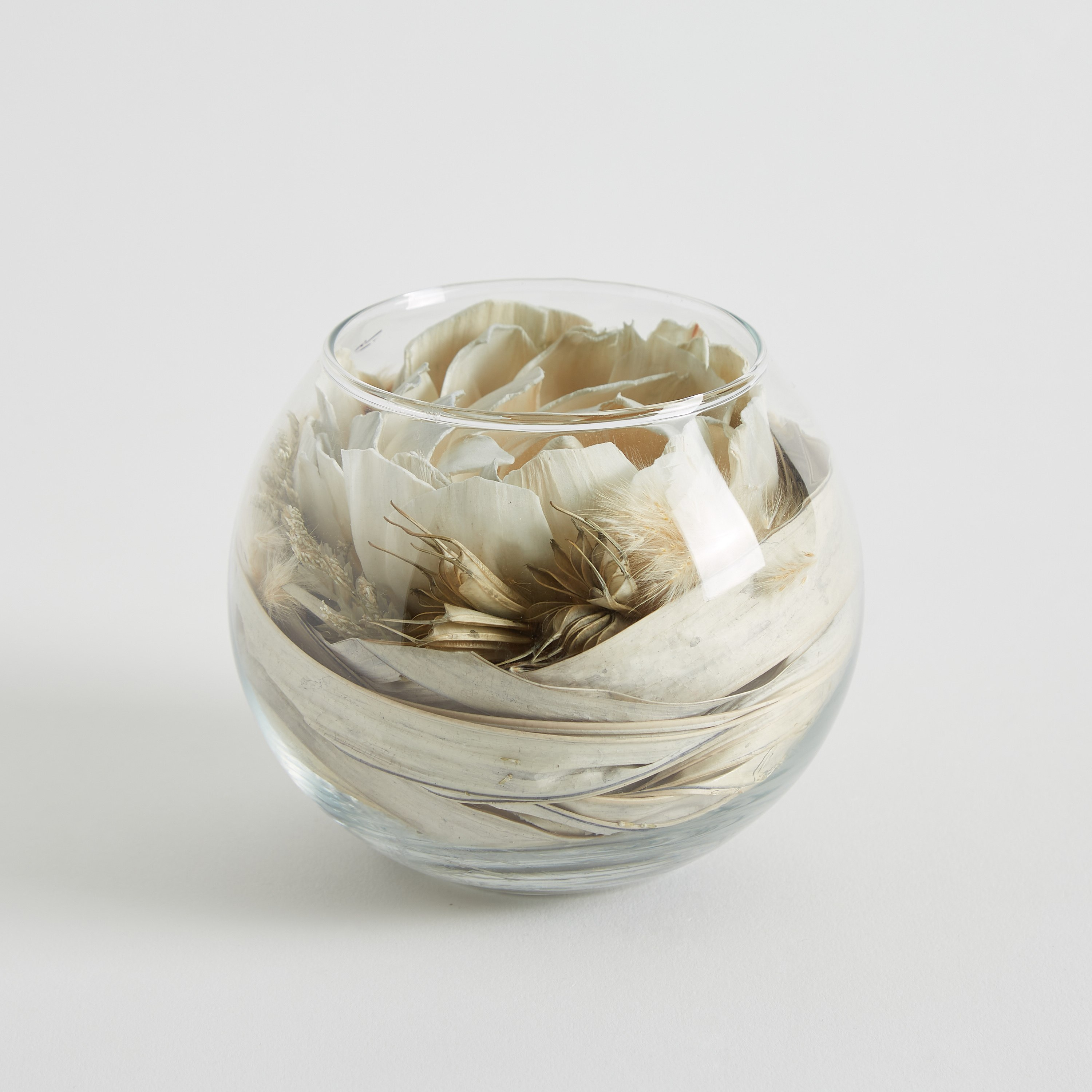 زهرة مجففة في وعاء زجاج من مايلي - 12x10 سم-hbxdecorandfurnishings-homeaccessories-artificialflowersandplants-image-7