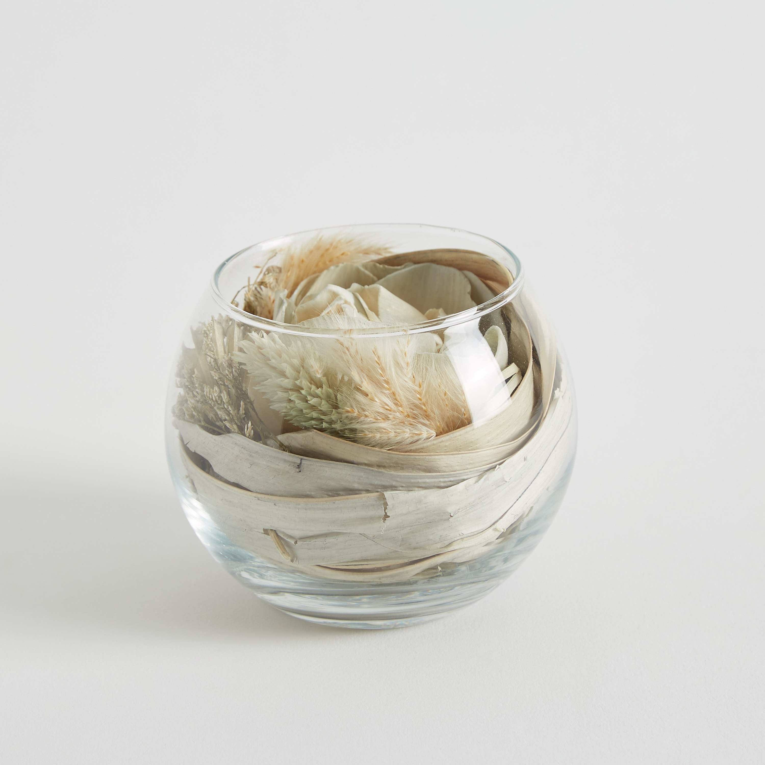 زهرة مجففة في وعاء زجاج من مايلي - 10x8 سم-hbxdecorandfurnishings-homeaccessories-artificialflowersandplants-image-7