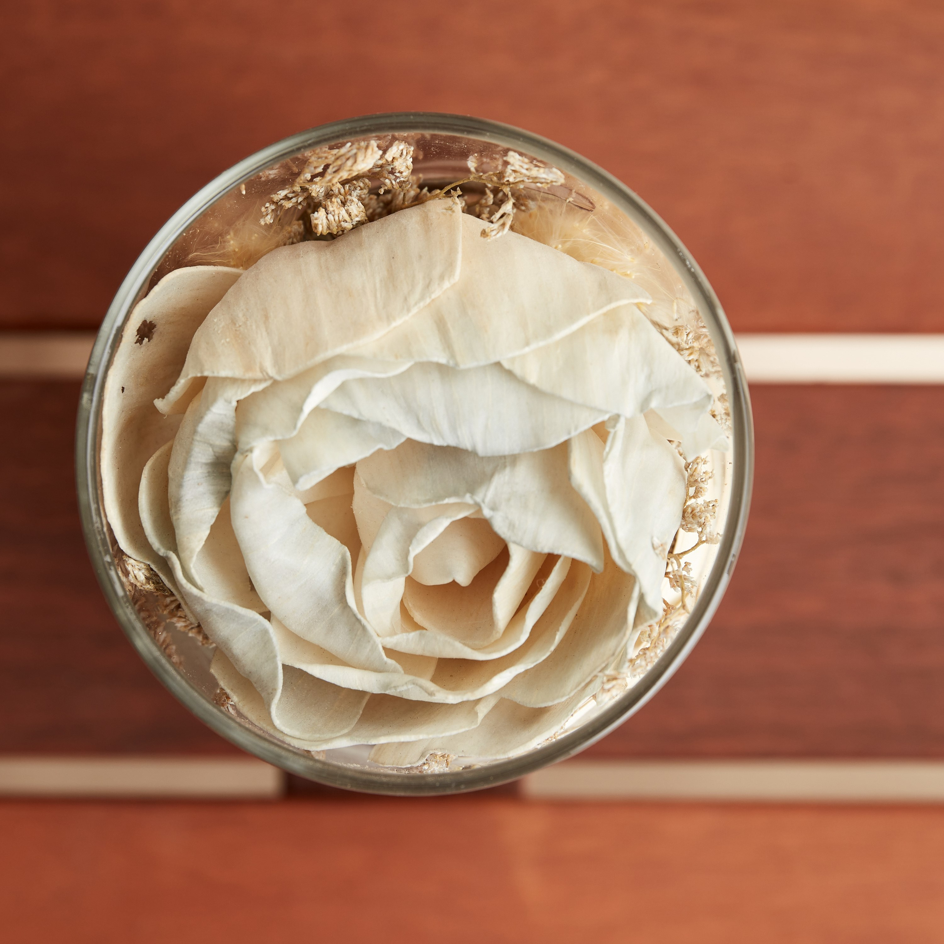 Miley Dried Sola Kuri Rose Bud in Glass Tube - 7.8x18 cm-hbxdecorandfurnishings-homeaccessories-artificialflowersandplants-image-3