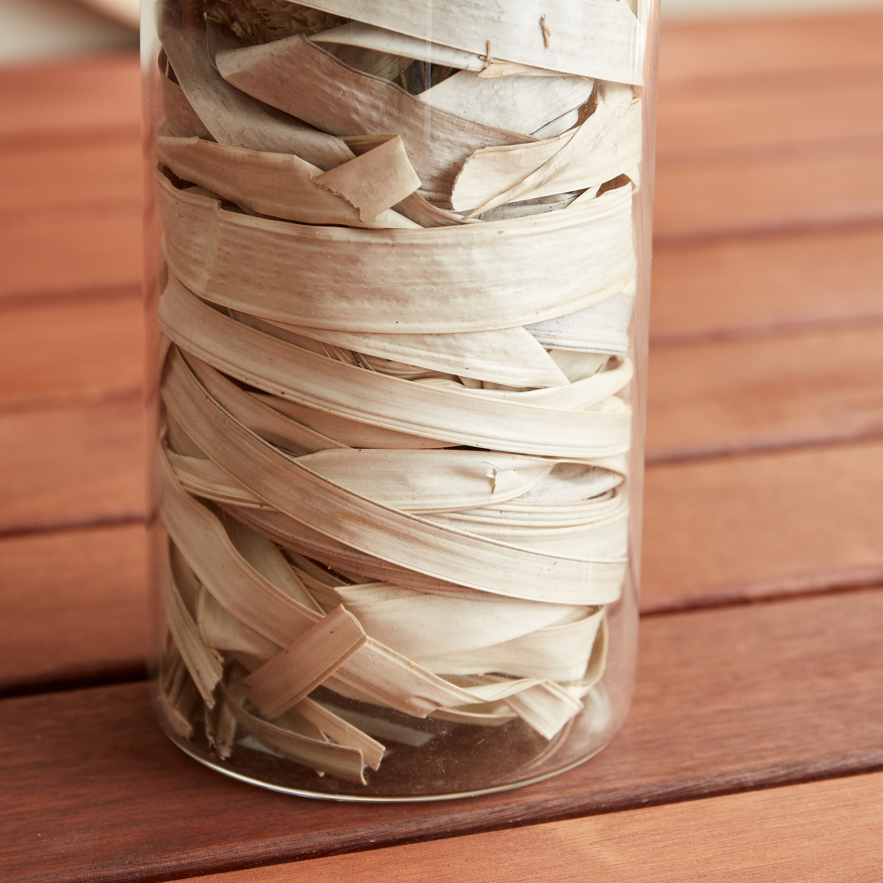 Miley Dried Sola Kuri Rose Bud in Glass Tube - 7.8x18 cm-hbxdecorandfurnishings-homeaccessories-artificialflowersandplants-image-4