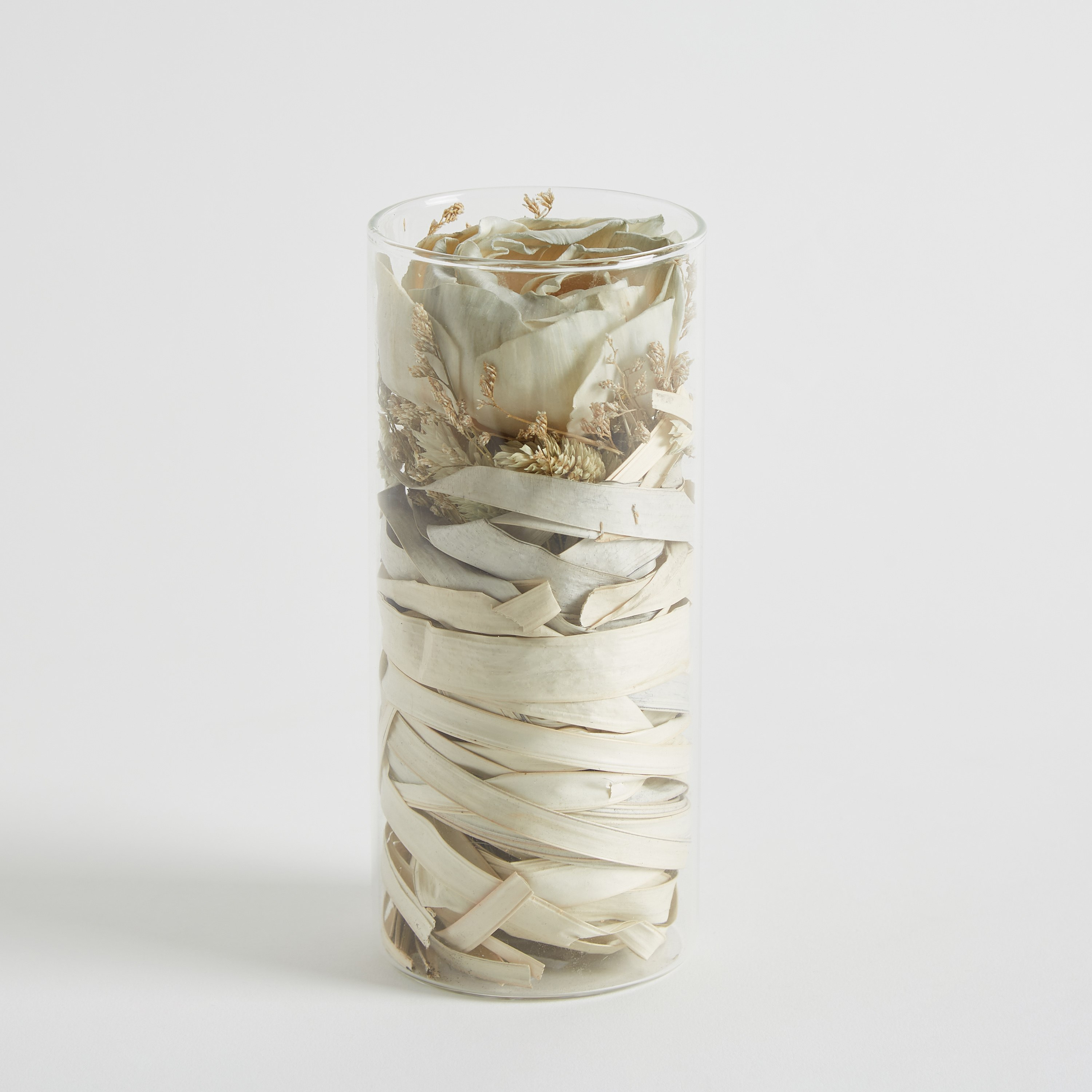 Miley Dried Sola Kuri Rose Bud in Glass Tube - 7.8x18 cm-hbxdecorandfurnishings-homeaccessories-artificialflowersandplants-image-6