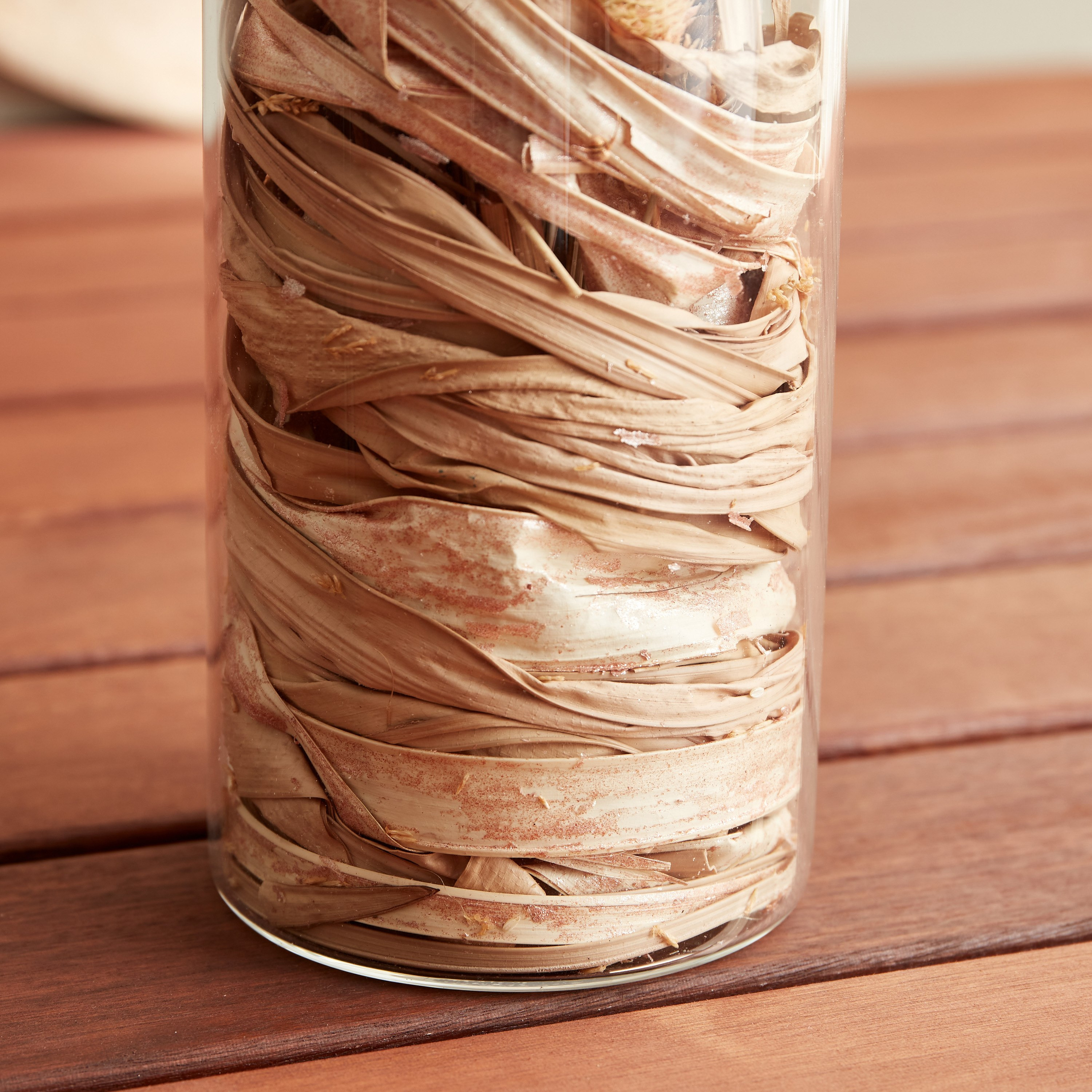 Miley Dried Sola Dalia in Glass Tube - 7.8x18 cm-hbxdecorandfurnishings-homeaccessories-artificialflowersandplants-image-4