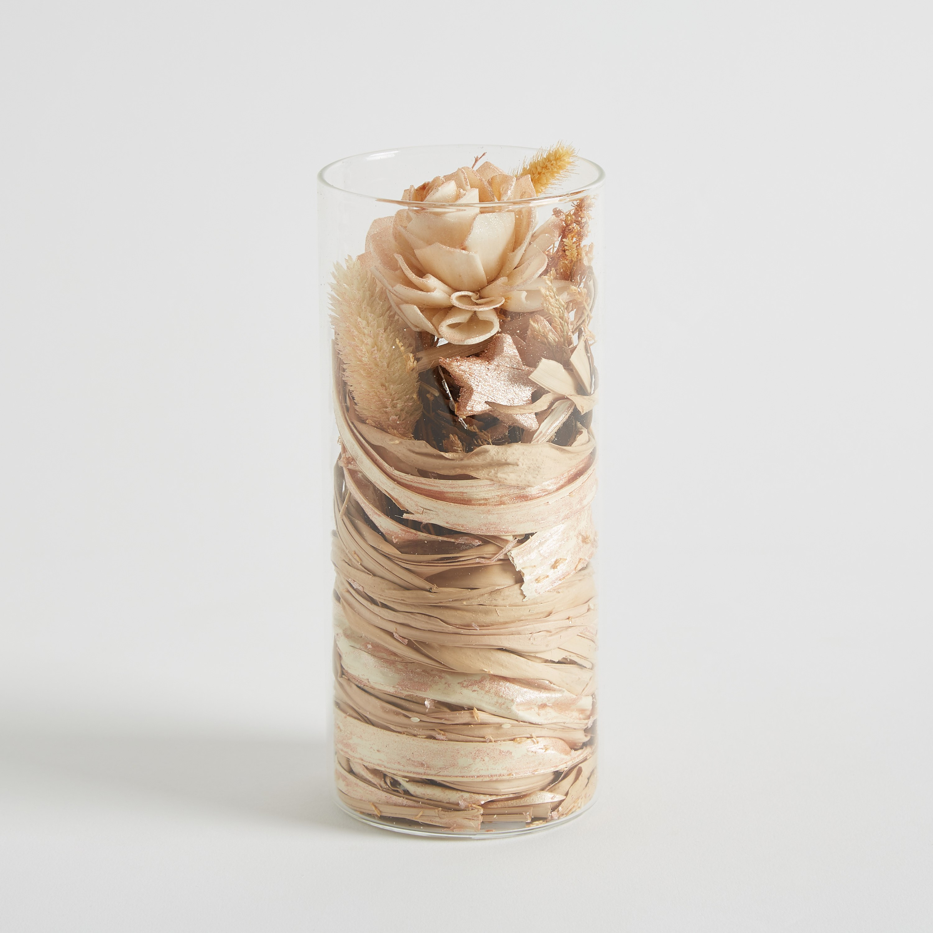 Miley Dried Sola Dalia in Glass Tube - 7.8x18 cm-hbxdecorandfurnishings-homeaccessories-artificialflowersandplants-image-7