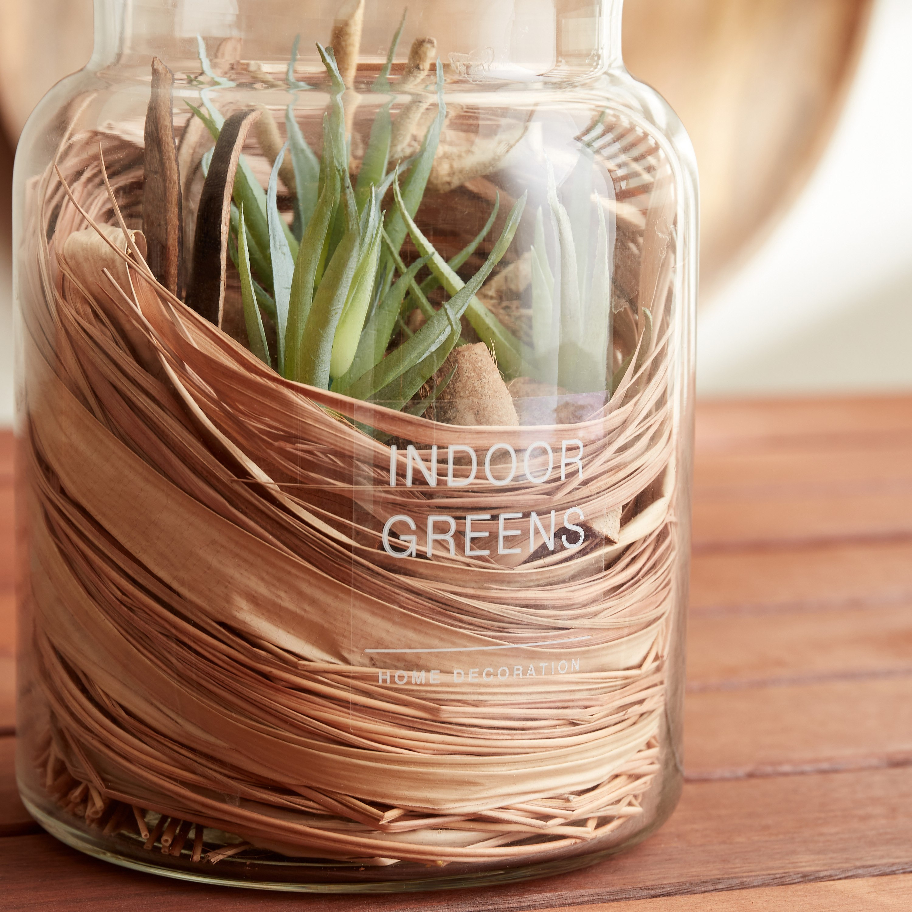 زهرة بونساي في جرة زجاج من مايلي - 13x13x16 سم-hbxdecorandfurnishings-homeaccessories-artificialflowersandplants-image-4