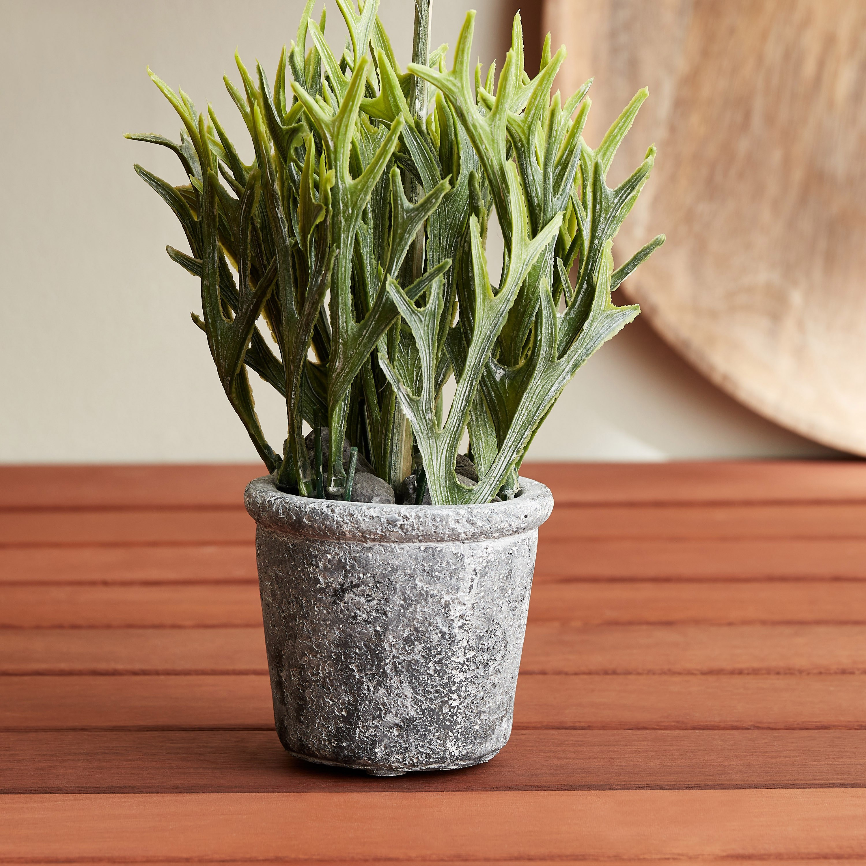 Miley Bonsai Flower In Cement Pot - 8x8x20 cm-hbxdecorandfurnishings-homeaccessories-artificialflowersandplants-image-1