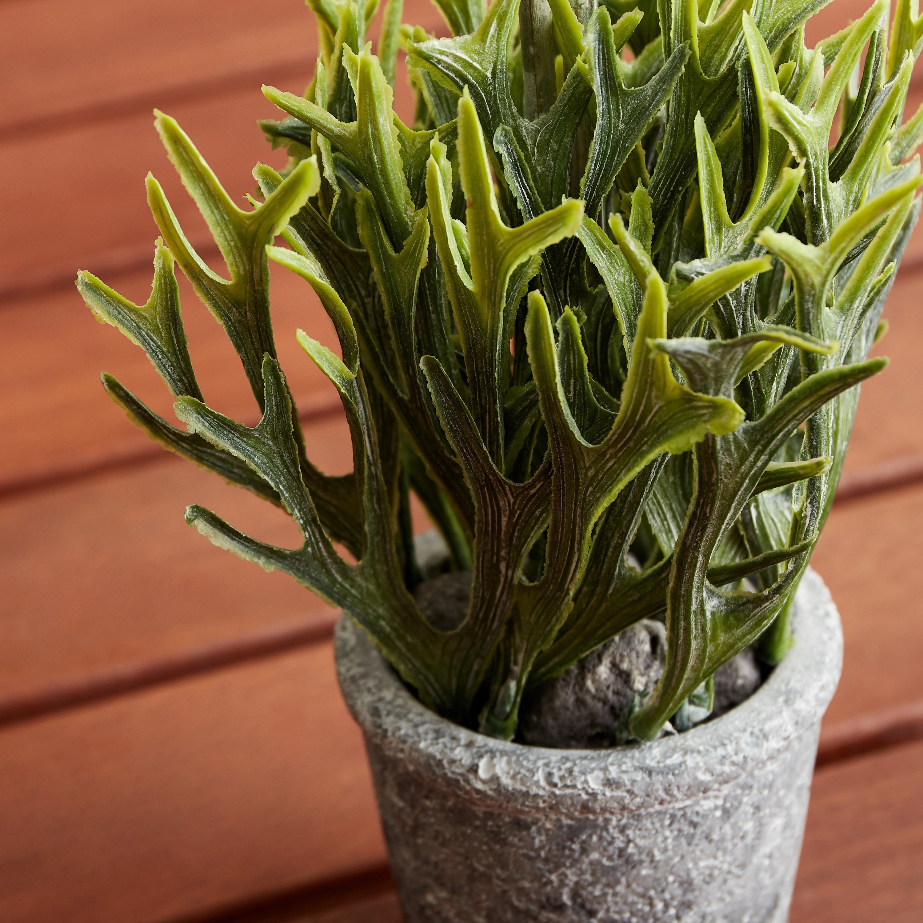 Miley Bonsai Flower In Cement Pot - 8x8x20 cm-hbxdecorandfurnishings-homeaccessories-artificialflowersandplants-image-3