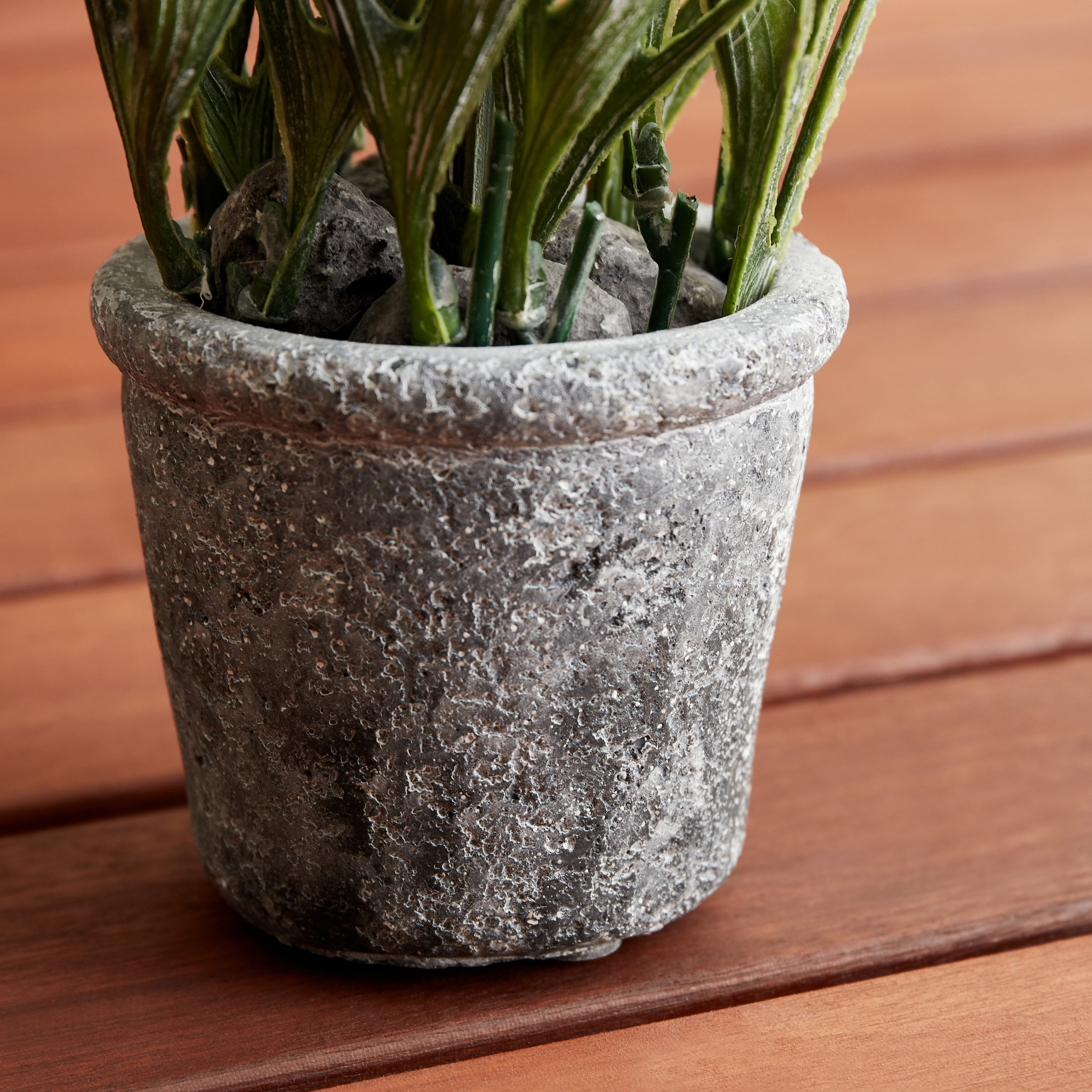 Miley Bonsai Flower In Cement Pot - 8x8x20 cm-hbxdecorandfurnishings-homeaccessories-artificialflowersandplants-image-4