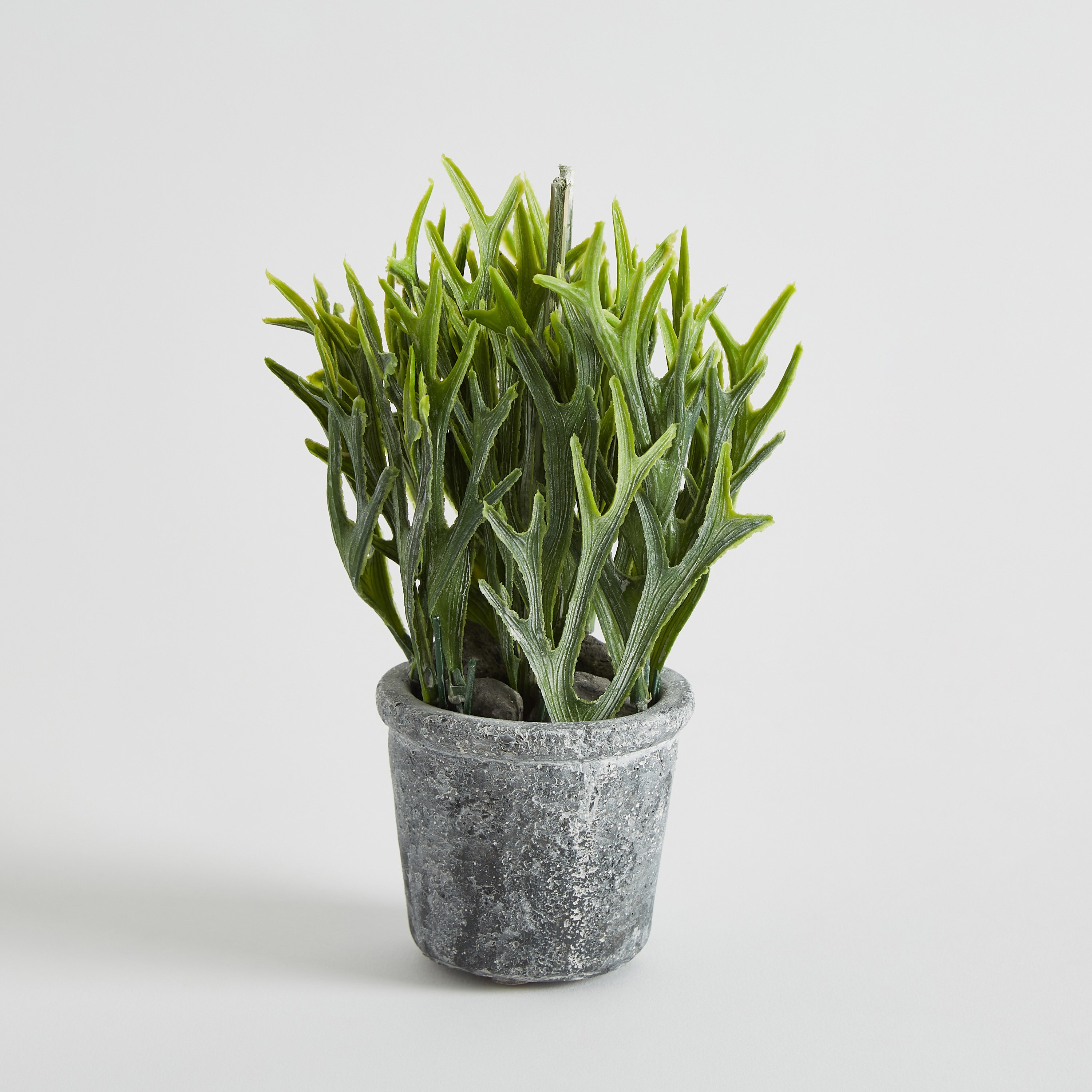 Miley Bonsai Flower In Cement Pot - 8x8x20 cm-hbxdecorandfurnishings-homeaccessories-artificialflowersandplants-image-6