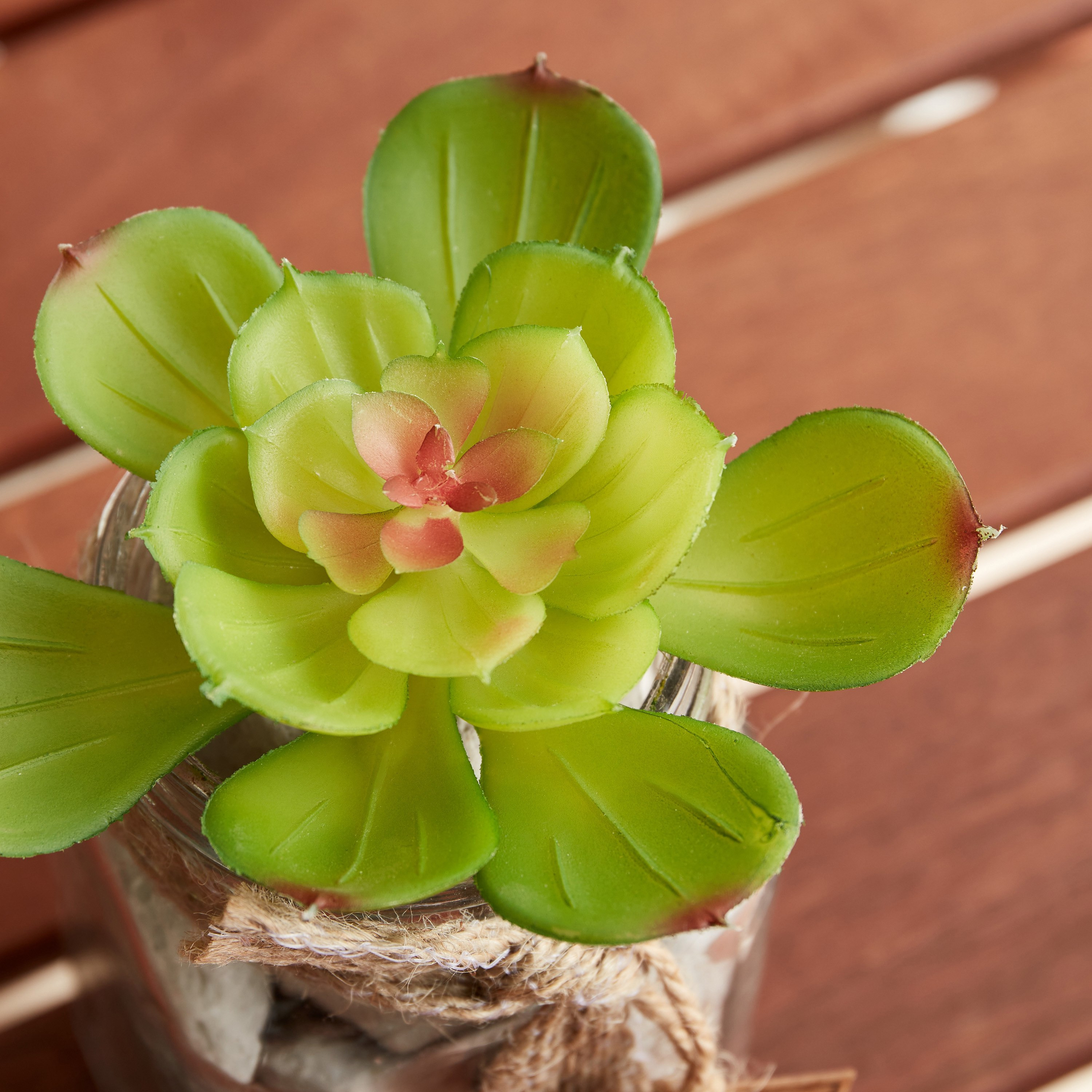 Miley Bonsai In Glass Jar - 7.3x11.5 cm-hbxdecorandfurnishings-homeaccessories-artificialflowersandplants-image-3
