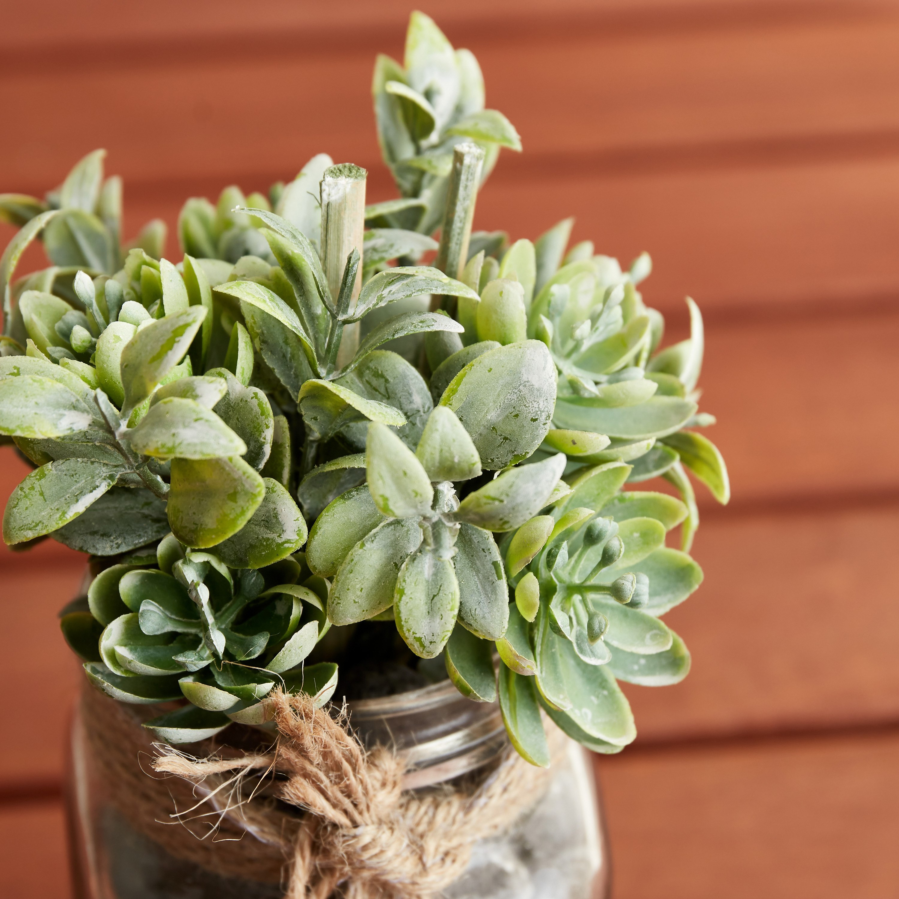 نبات بونساي في جرة زجاجية من مايلي - 7.3x11.5 سم-hbxdecorandfurnishings-homeaccessories-artificialflowersandplants-image-3