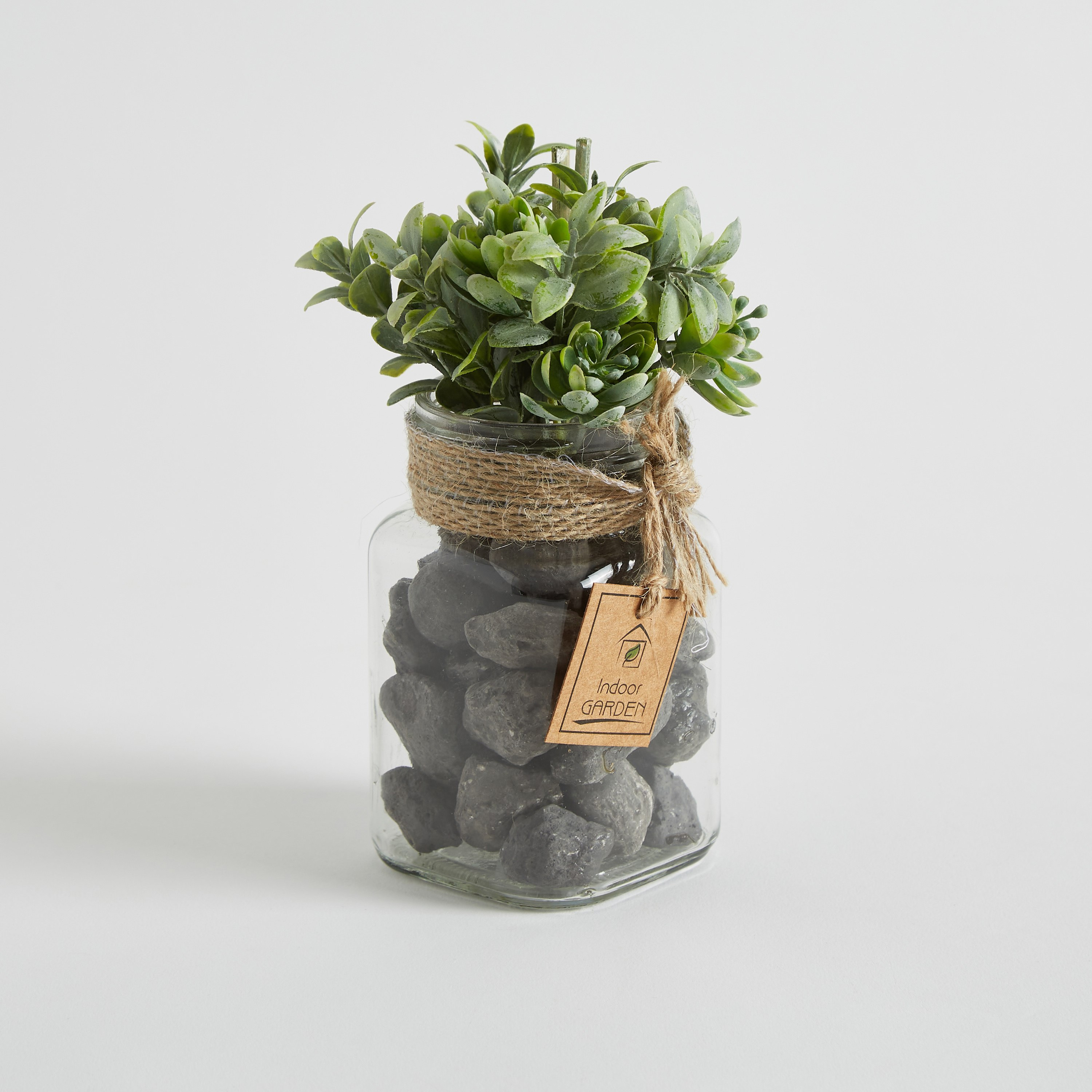 نبات بونساي في جرة زجاجية من مايلي - 7.3x11.5 سم-hbxdecorandfurnishings-homeaccessories-artificialflowersandplants-image-6