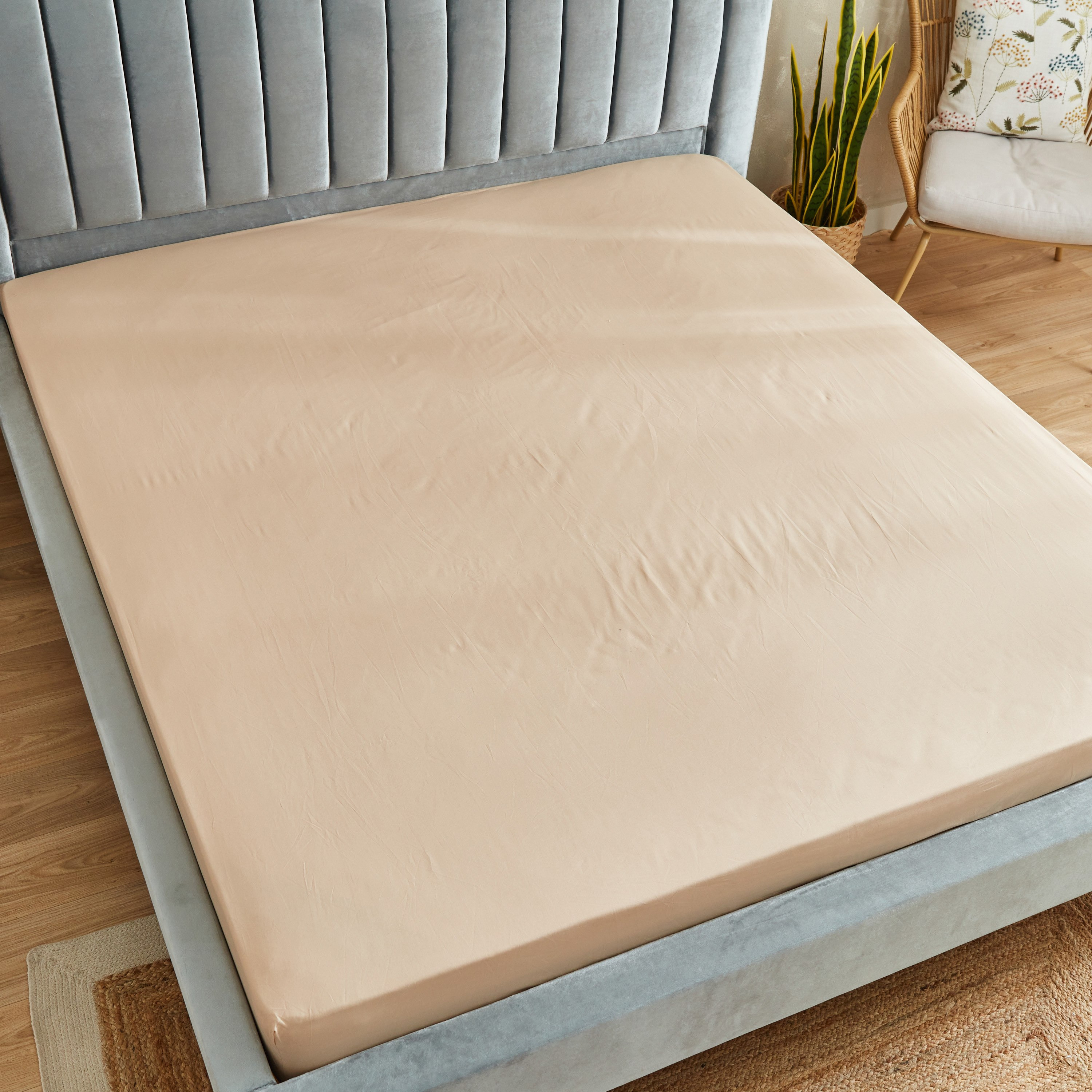 شرشف مطاطي قطن كينج سادة من زينيث - 180x200+33 سم-hbxhomeware-hbxbedroom-image-3