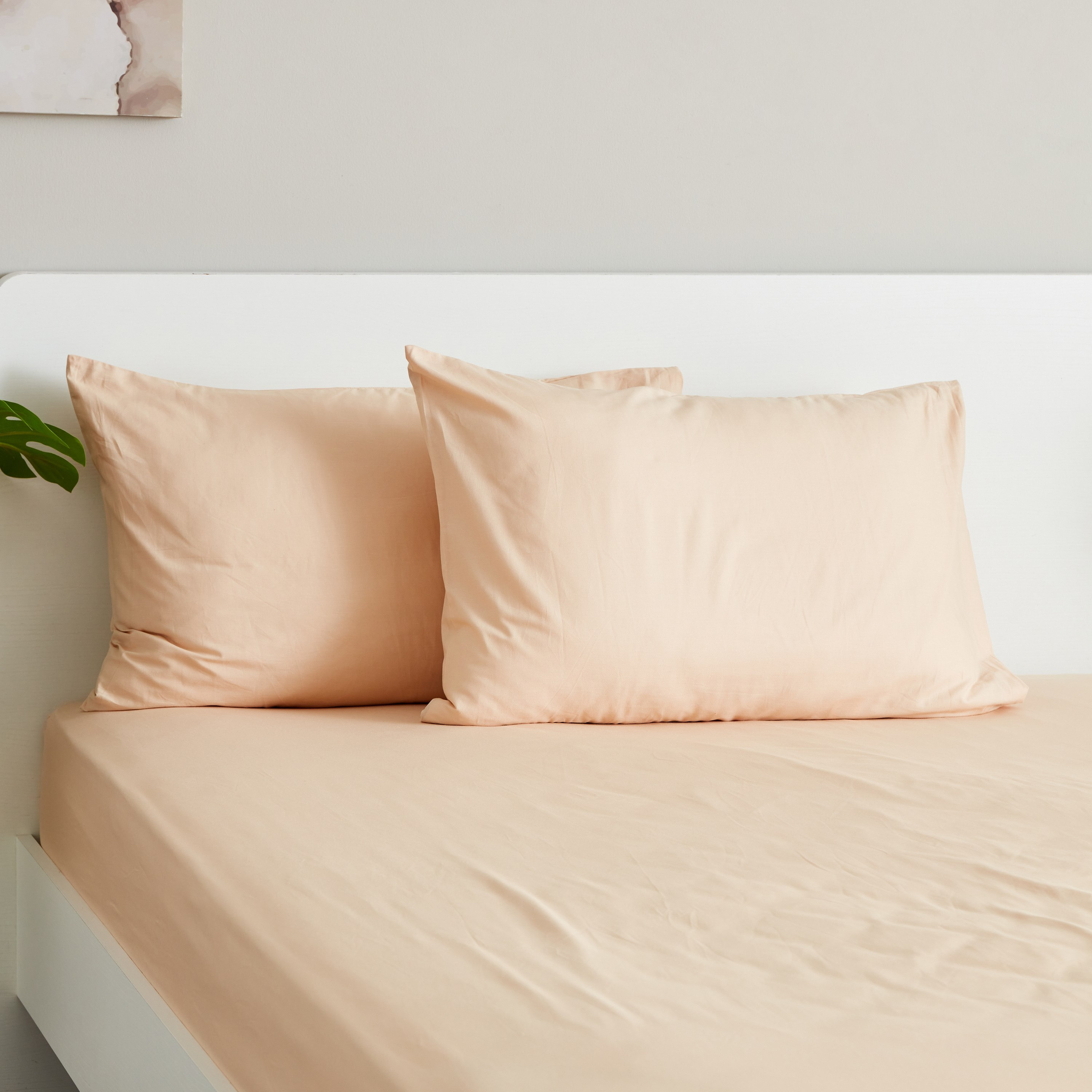 طقم غطاء وسادة أكسفورد قطن سادة من قطعتين من زينيث - 50x75 سم-hbxhomeware-hbxbedroom-image-1