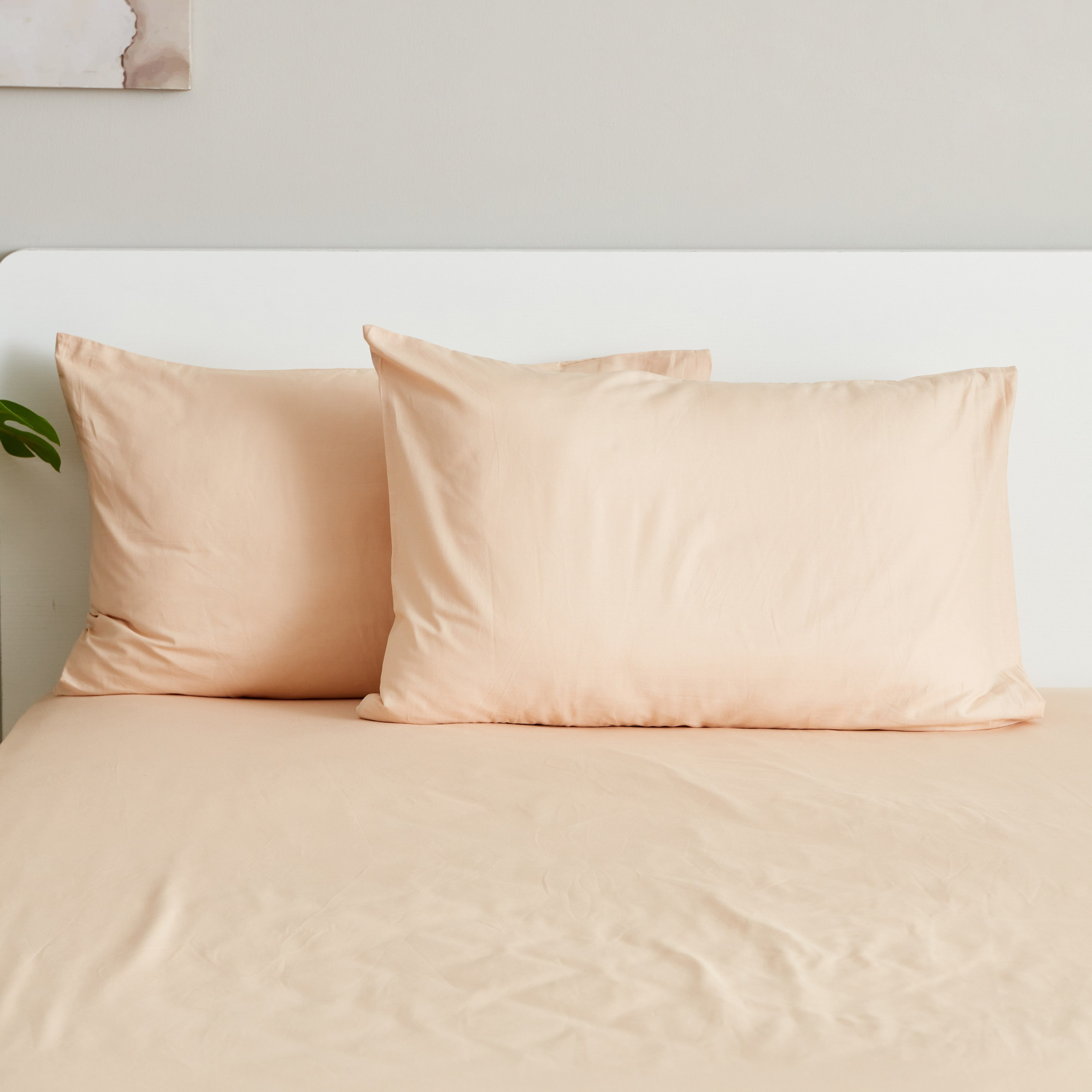 طقم غطاء وسادة أكسفورد قطن سادة من قطعتين من زينيث - 50x75 سم-hbxhomeware-hbxbedroom-image-2