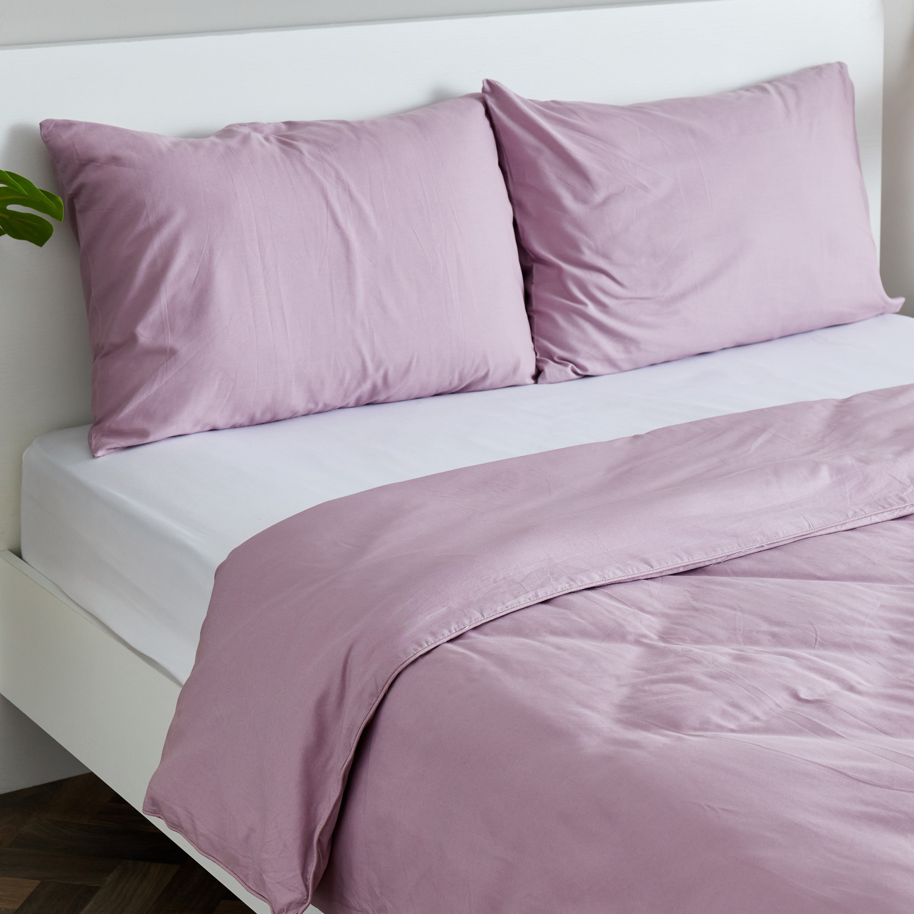 طقم غطاء لحاف كوين قطن سادة 4 قطع من زينيث - 200x240 سم-hbxhomeware-hbxdecorandfurnishings-image-3