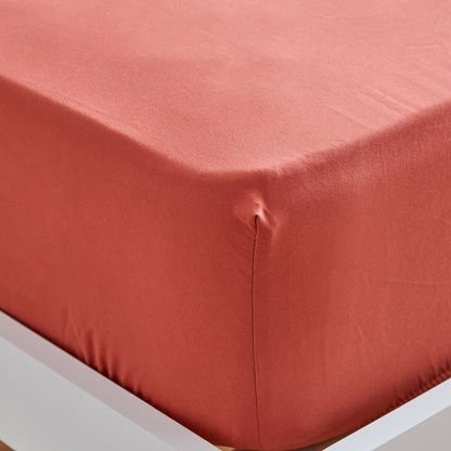 Derby Single Solid Microfibre Fitted Sheet - 90x190+20 cms