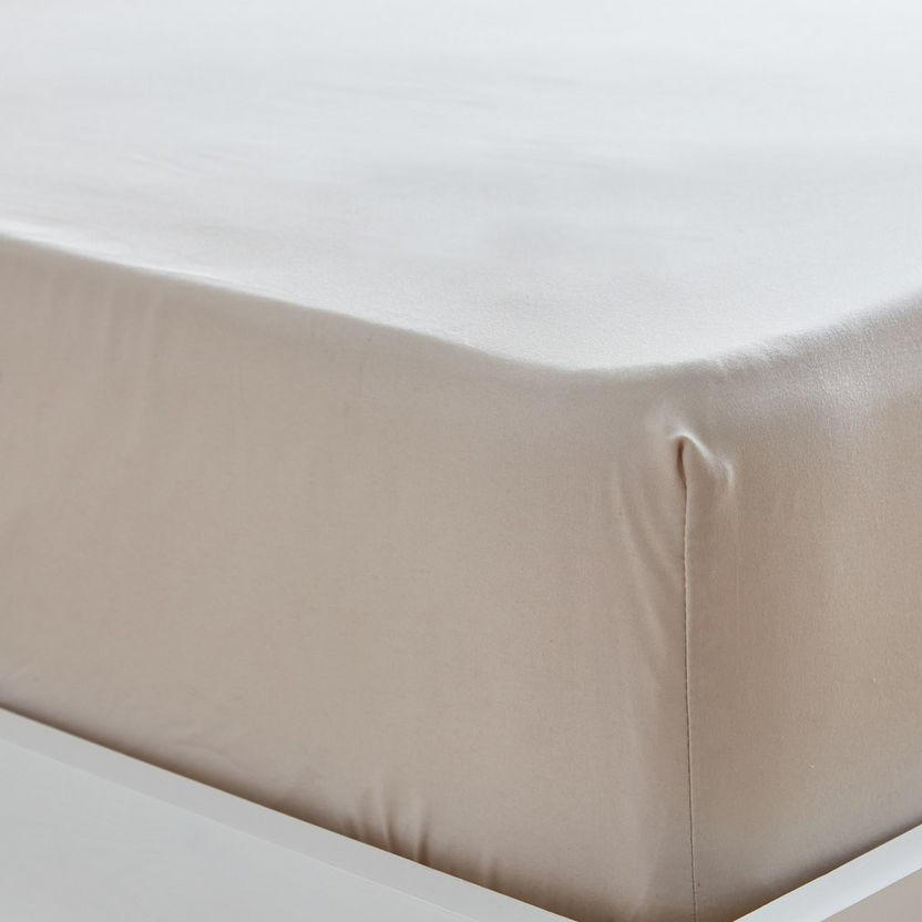 Derby Single Solid Microfibre Fitted Sheet - 90x190+20 cm-Sheets and Pillow Covers-image-5