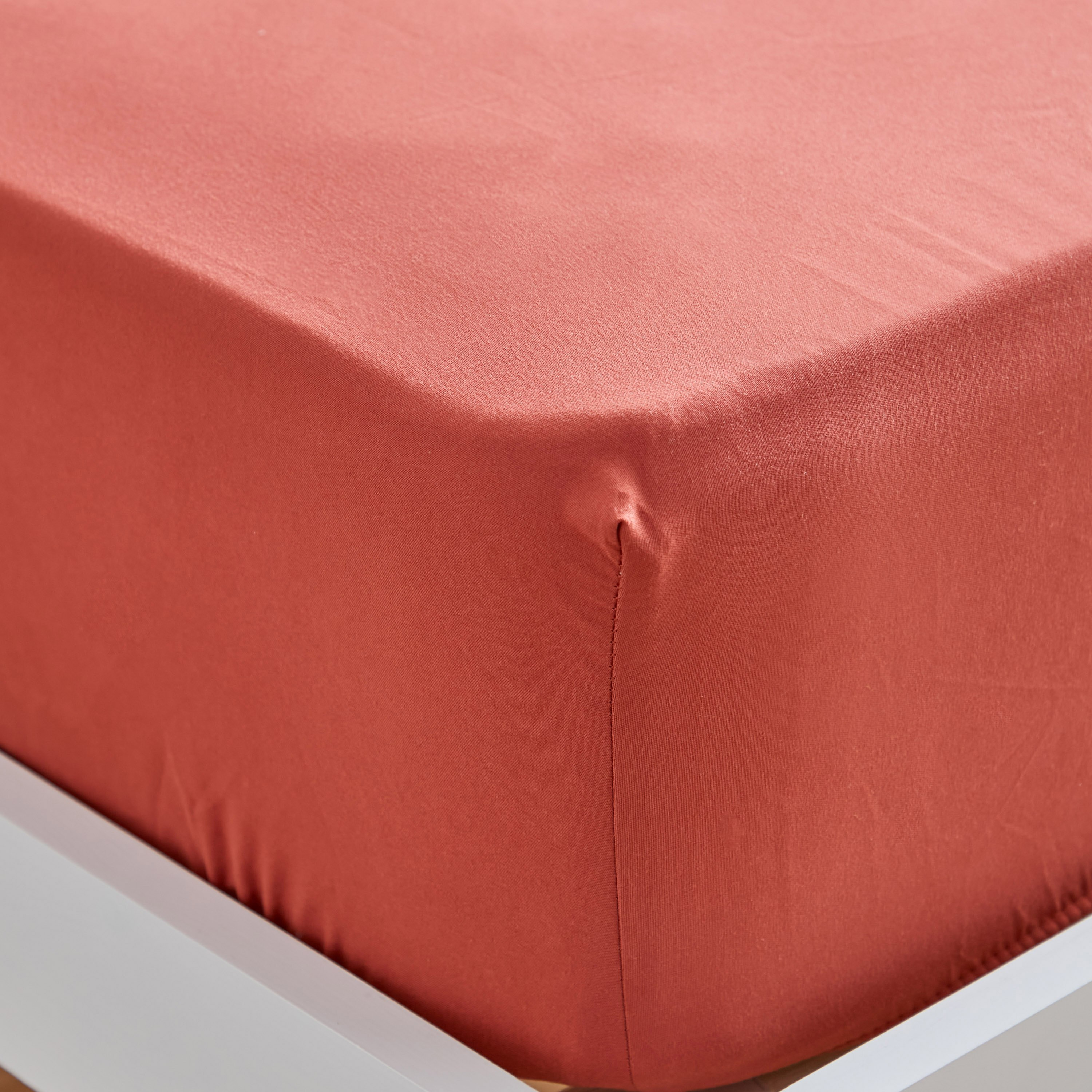 شرشف مطاطي مزدوج سادة من الألياف الدقيقة من ديربي - 120x200+25 سم-hbxhomeware-hbxbedroom-image-6