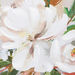 Cera Floral Framed Picture - 50x50 cm-Framed Pictures-thumbnail-3