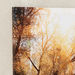 Cera Sunshine Framed Picture - 60x60 cm-Framed Pictures-thumbnail-2