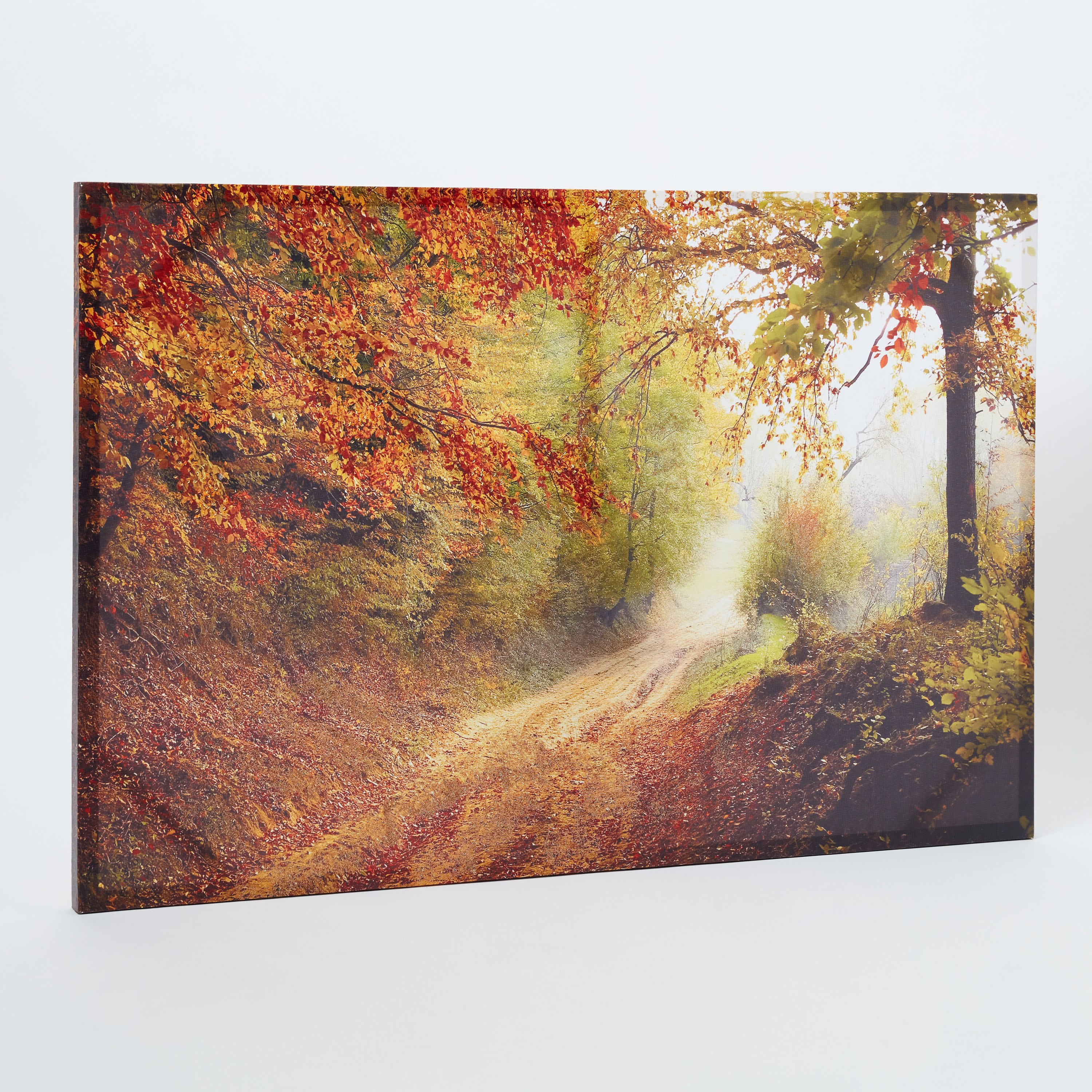 زينة حائط كانفاس مؤطرة بتصميم طبيعة من سيرا - 90x60 سم-hbxhomeware-hbxdecorandfurnishings-image-6