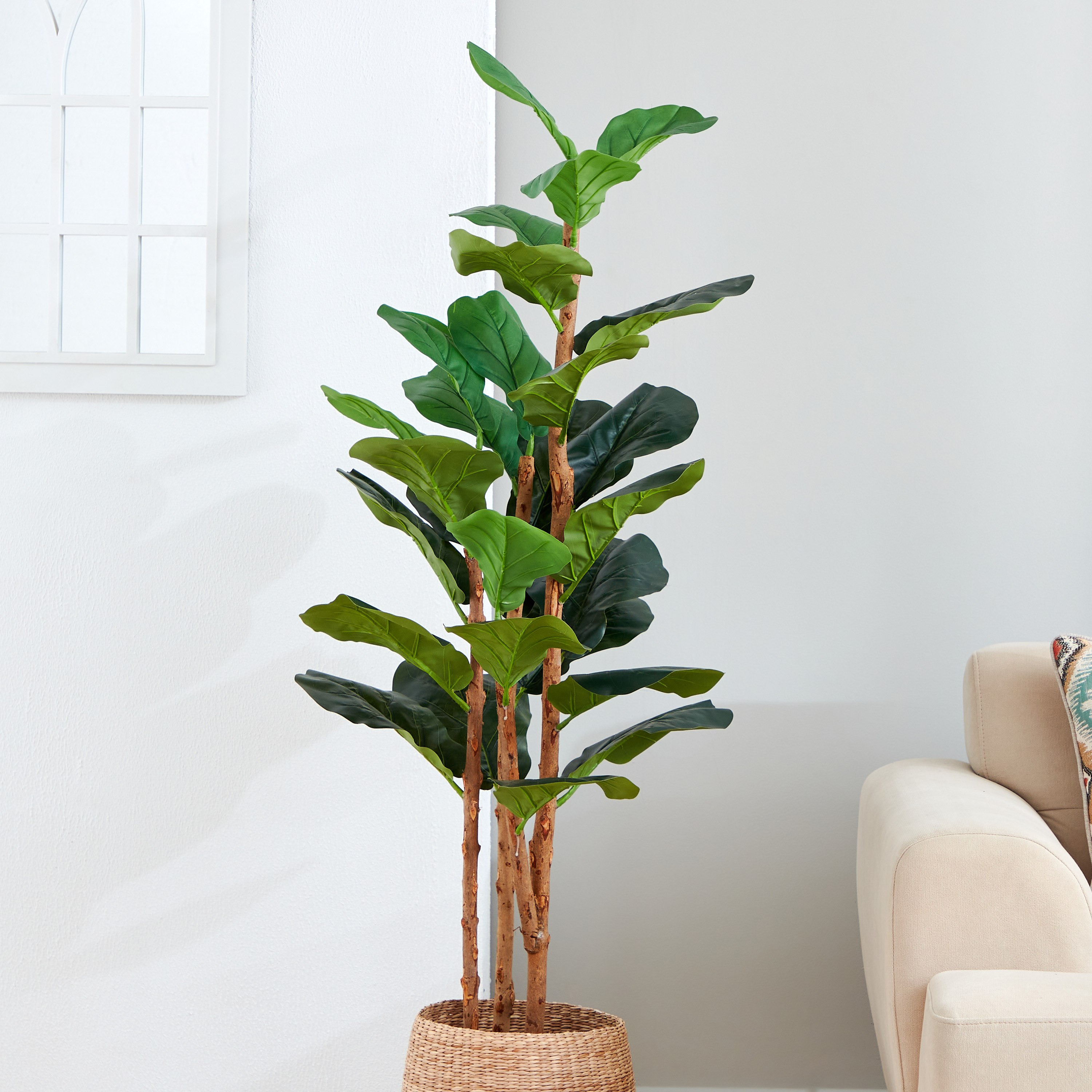 شجرة كمان من تيودورا - 150 سم-hbxdecorandfurnishings-homeaccessories-artificialflowersandplants-image-2