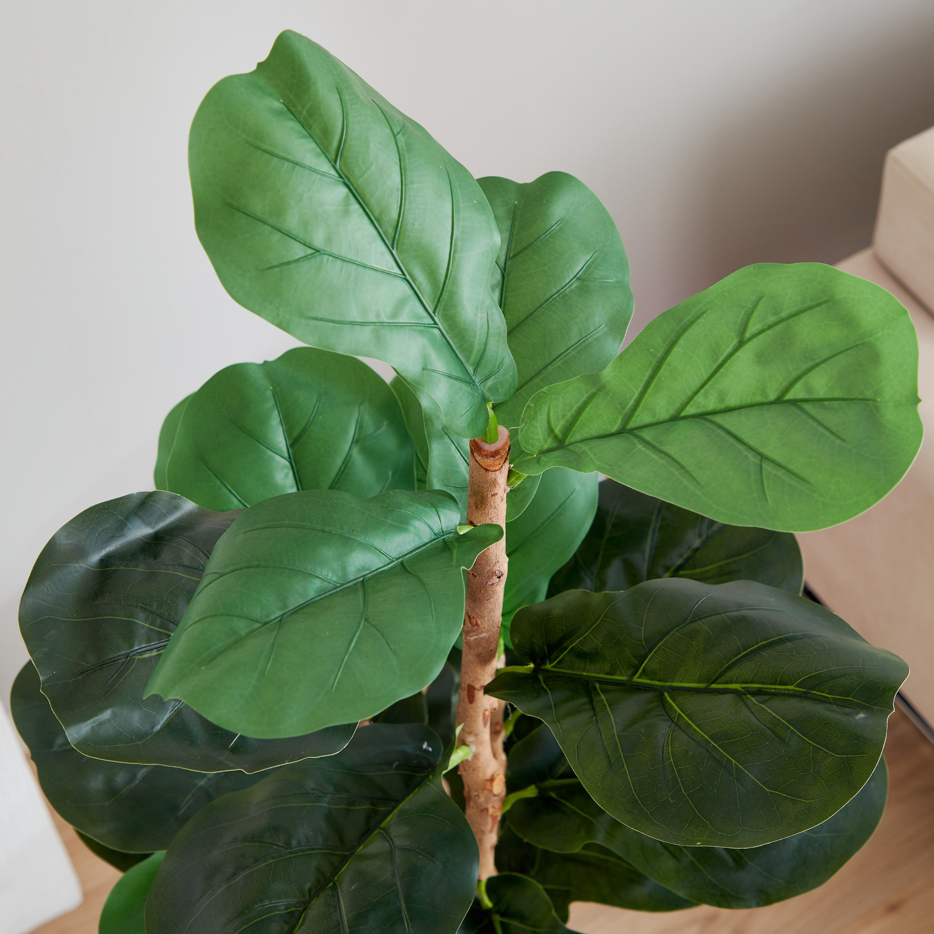 شجرة كمان من تيودورا - 150 سم-hbxdecorandfurnishings-homeaccessories-artificialflowersandplants-image-4