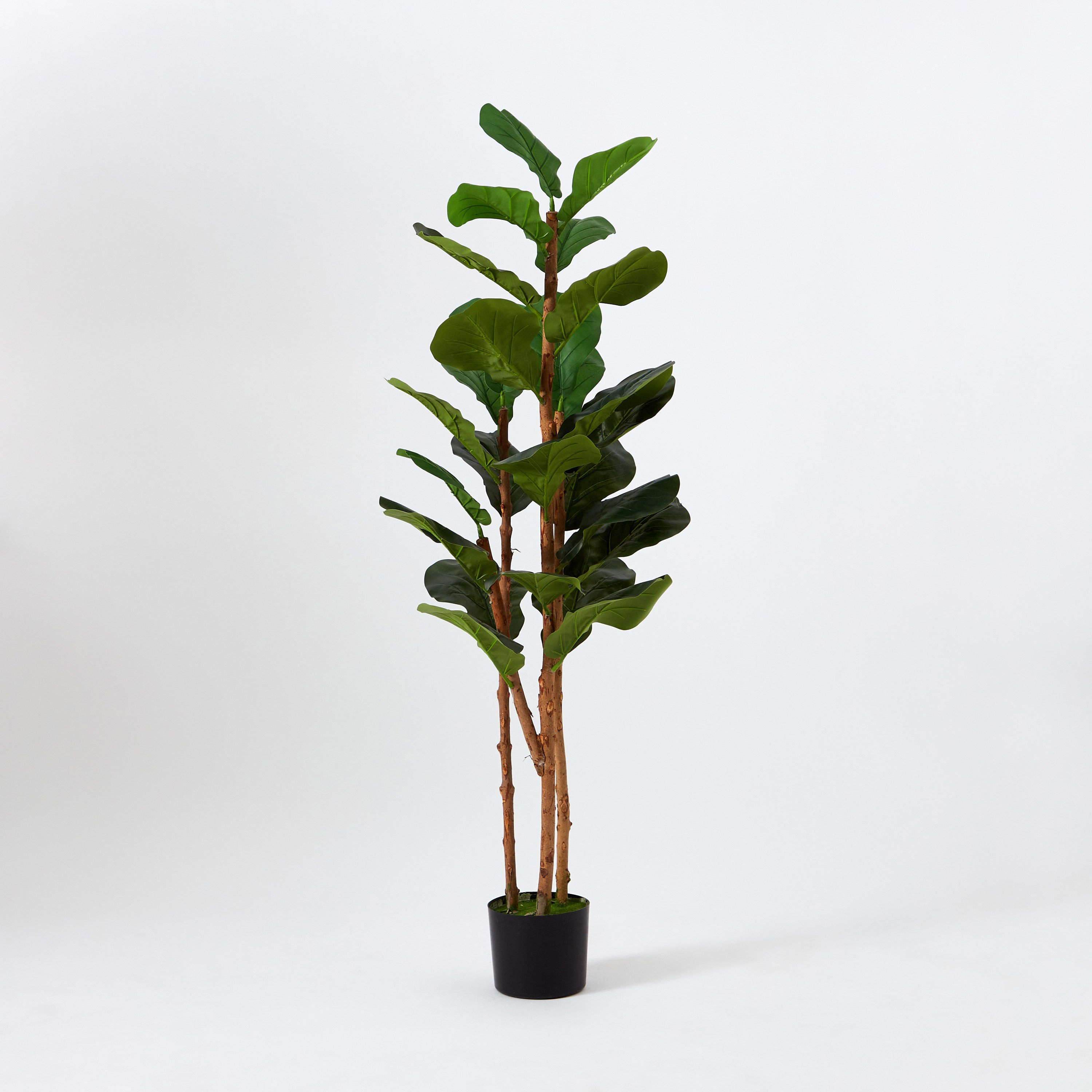 شجرة كمان من تيودورا - 150 سم-hbxdecorandfurnishings-homeaccessories-artificialflowersandplants-image-5