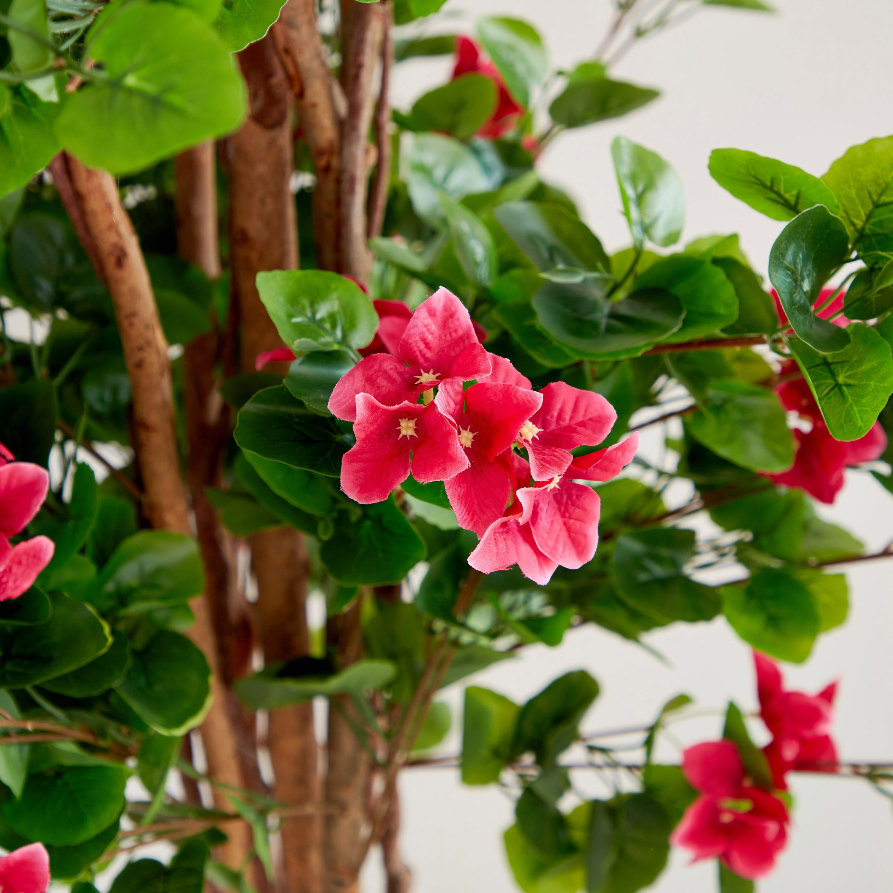شجرة الجهنمية من تيودورا - 180 سم-hbxdecorandfurnishings-homeaccessories-artificialflowersandplants-image-4