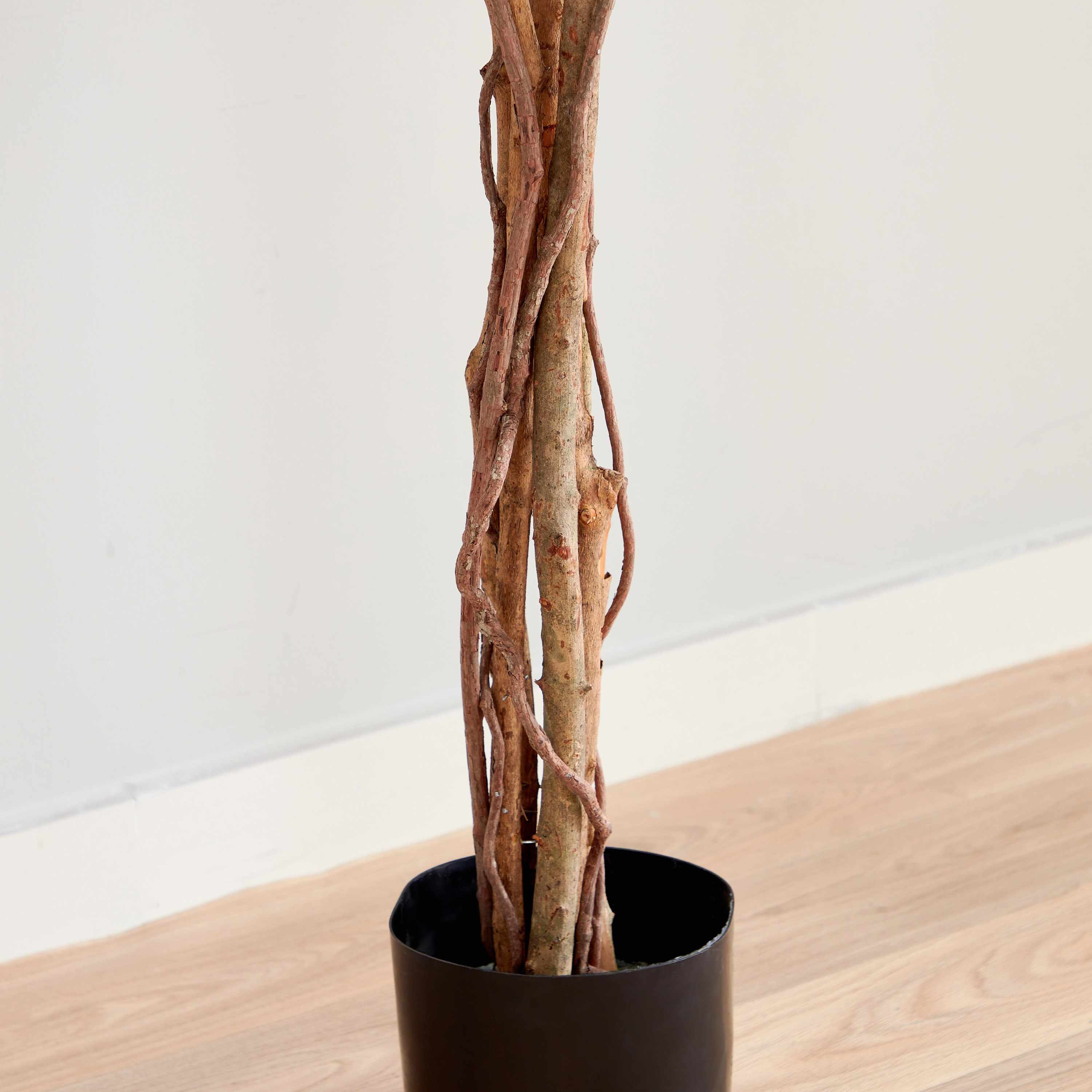 شجرة الجهنمية من تيودورا - 180 سم-hbxdecorandfurnishings-homeaccessories-artificialflowersandplants-image-5