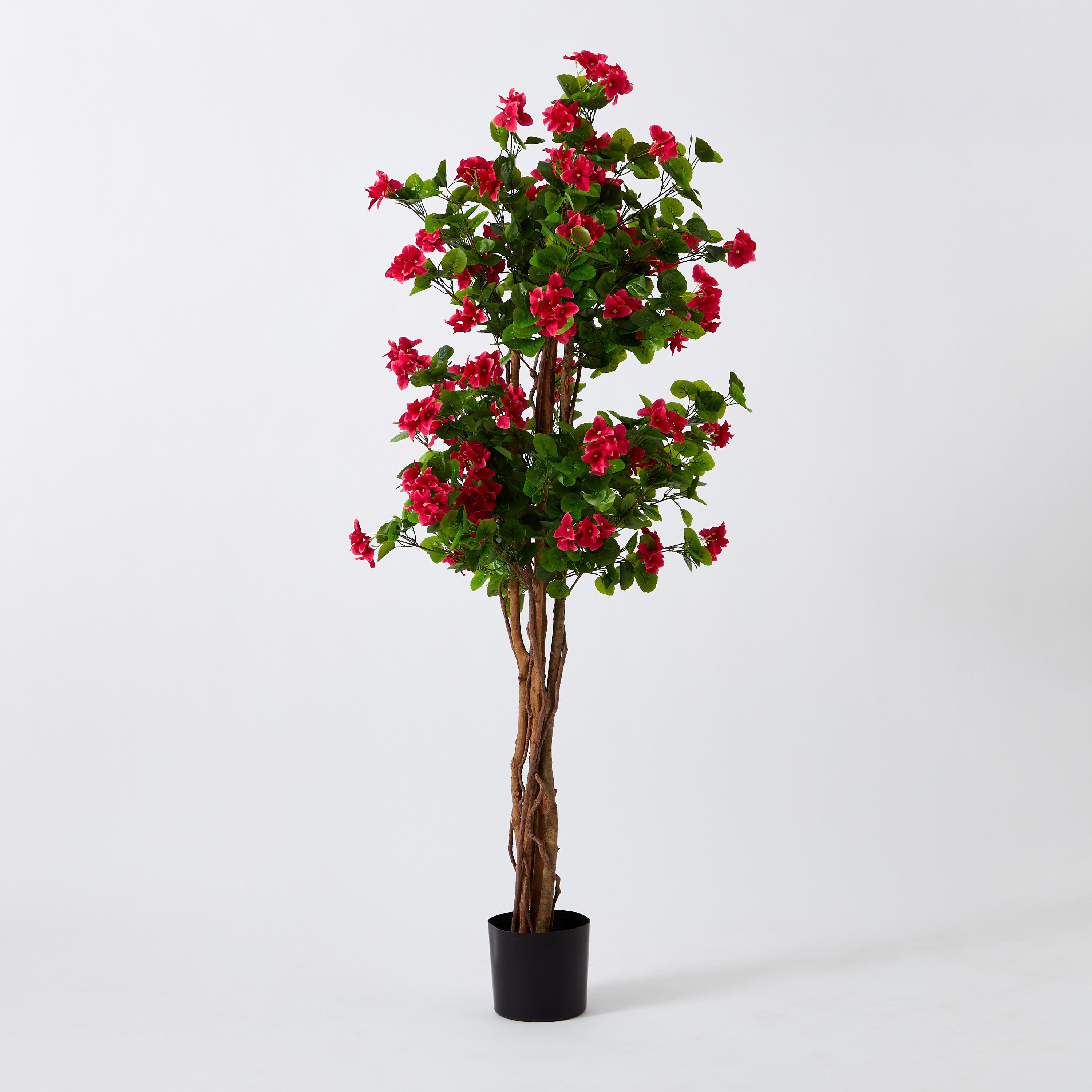 شجرة الجهنمية من تيودورا - 180 سم-hbxdecorandfurnishings-homeaccessories-artificialflowersandplants-image-6