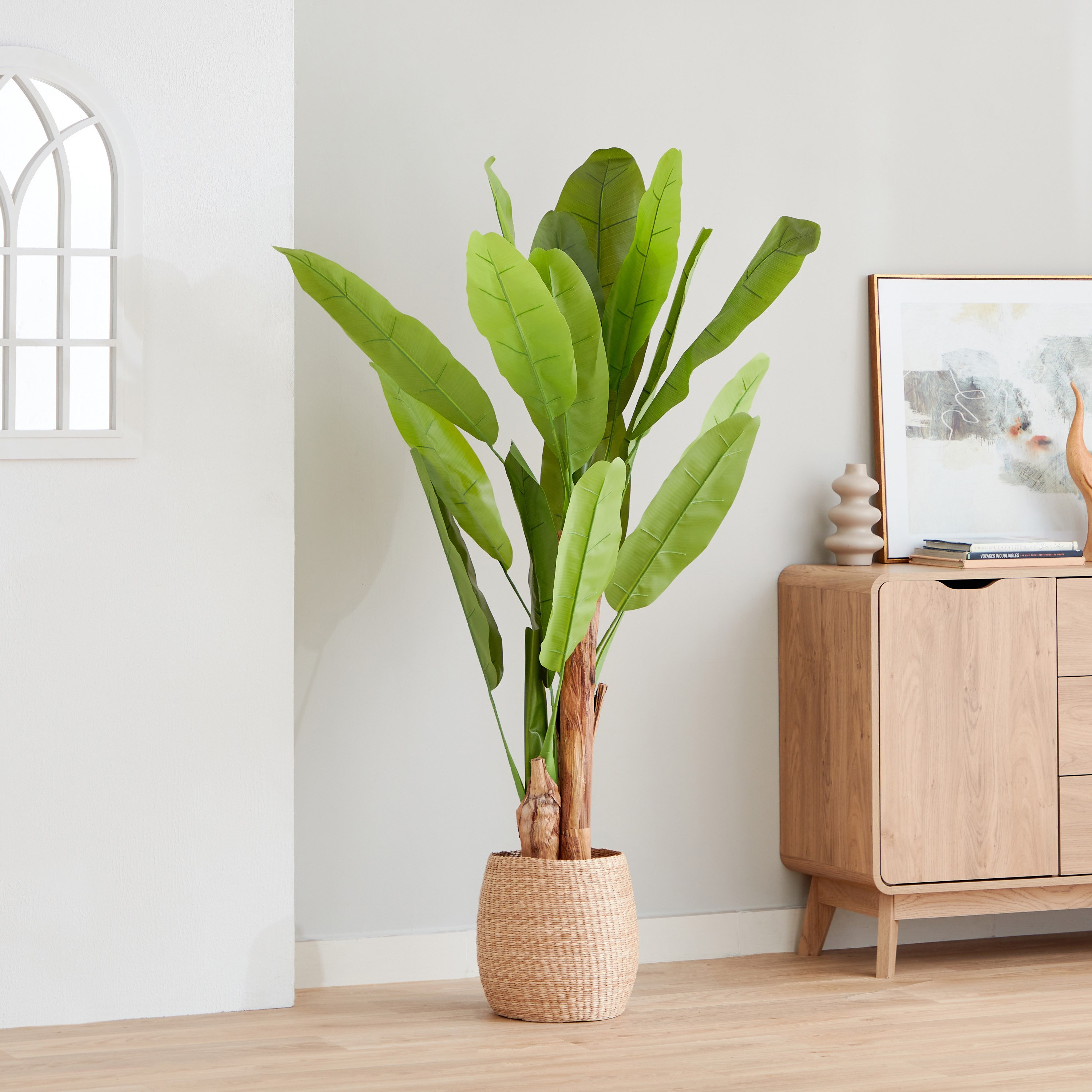 شجرة بانانا من تيودورا - 150 سم-hbxdecorandfurnishings-homeaccessories-artificialflowersandplants-image-1