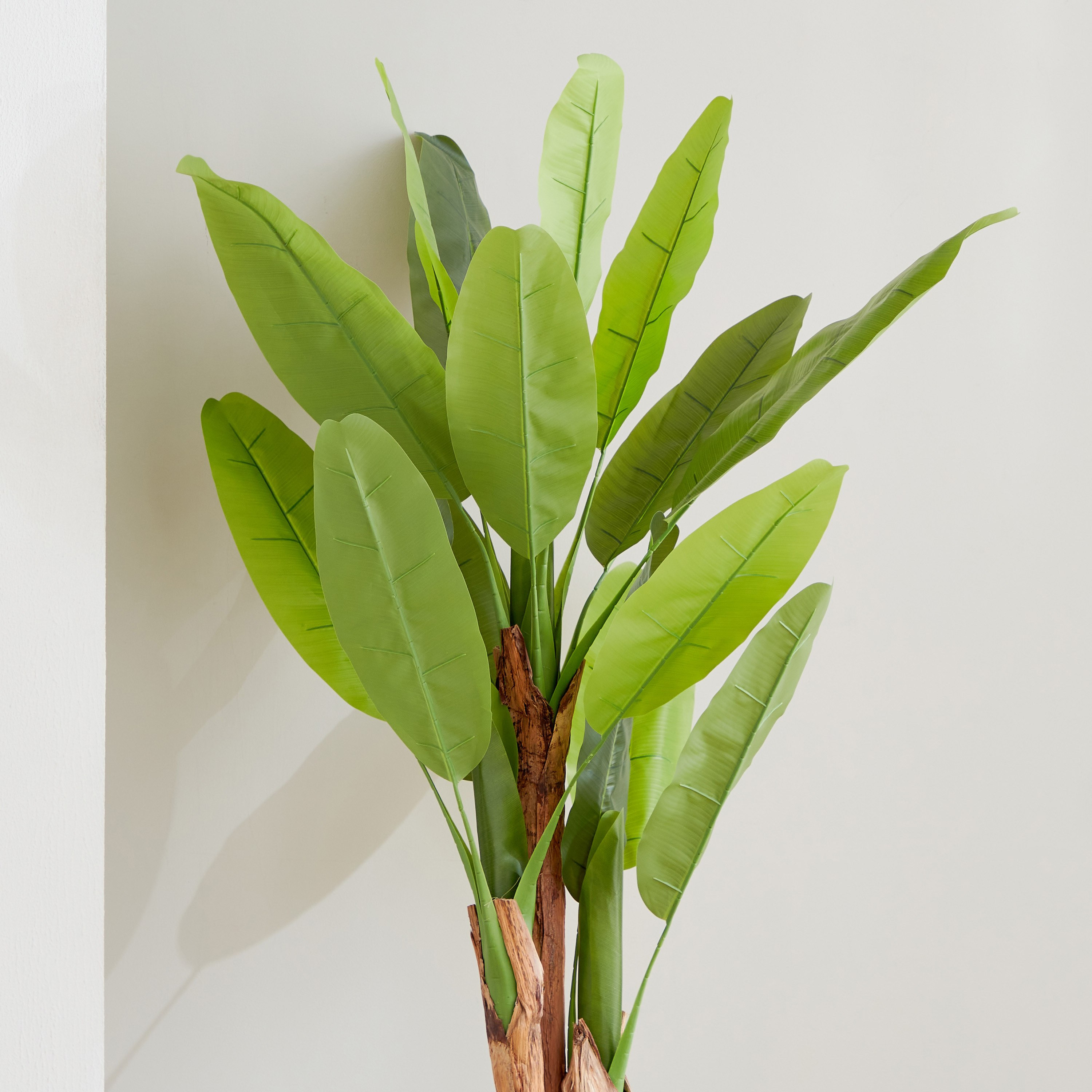 شجرة بانانا من تيودورا - 150 سم-hbxdecorandfurnishings-homeaccessories-artificialflowersandplants-image-3