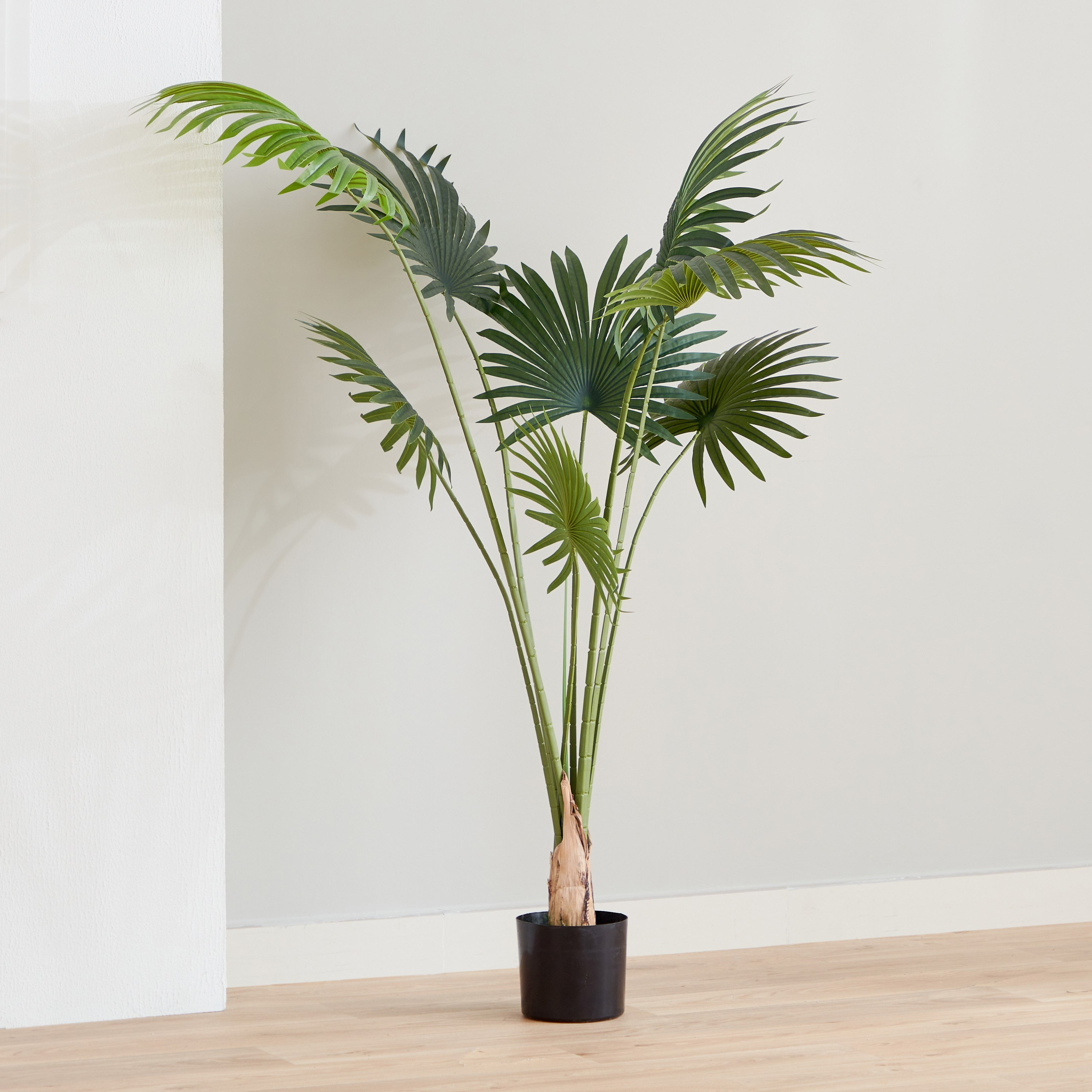 شجرة نخيل من تيودوارا - 160 سم-hbxdecorandfurnishings-homeaccessories-artificialflowersandplants-image-2