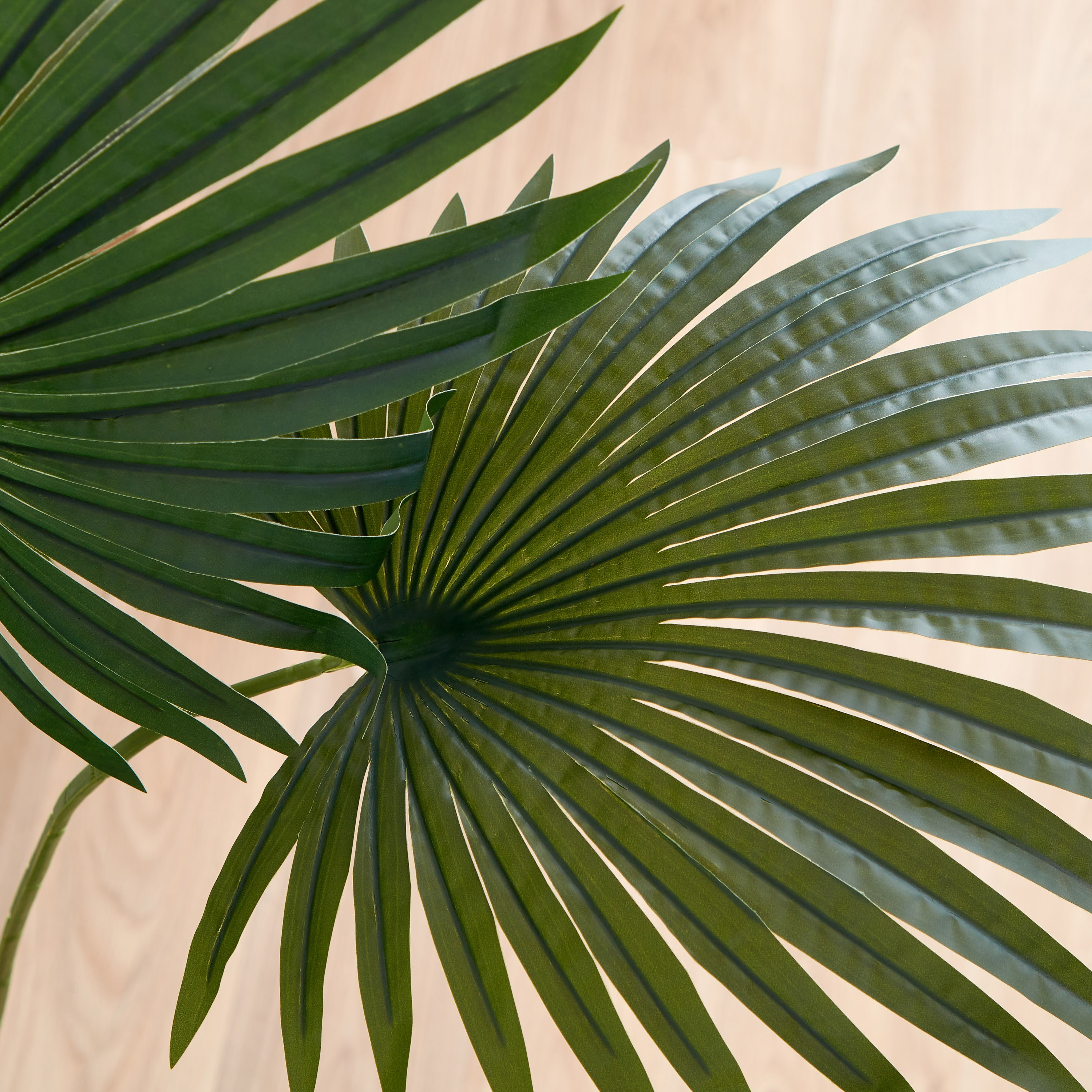 شجرة نخيل من تيودوارا - 160 سم-hbxdecorandfurnishings-homeaccessories-artificialflowersandplants-image-4