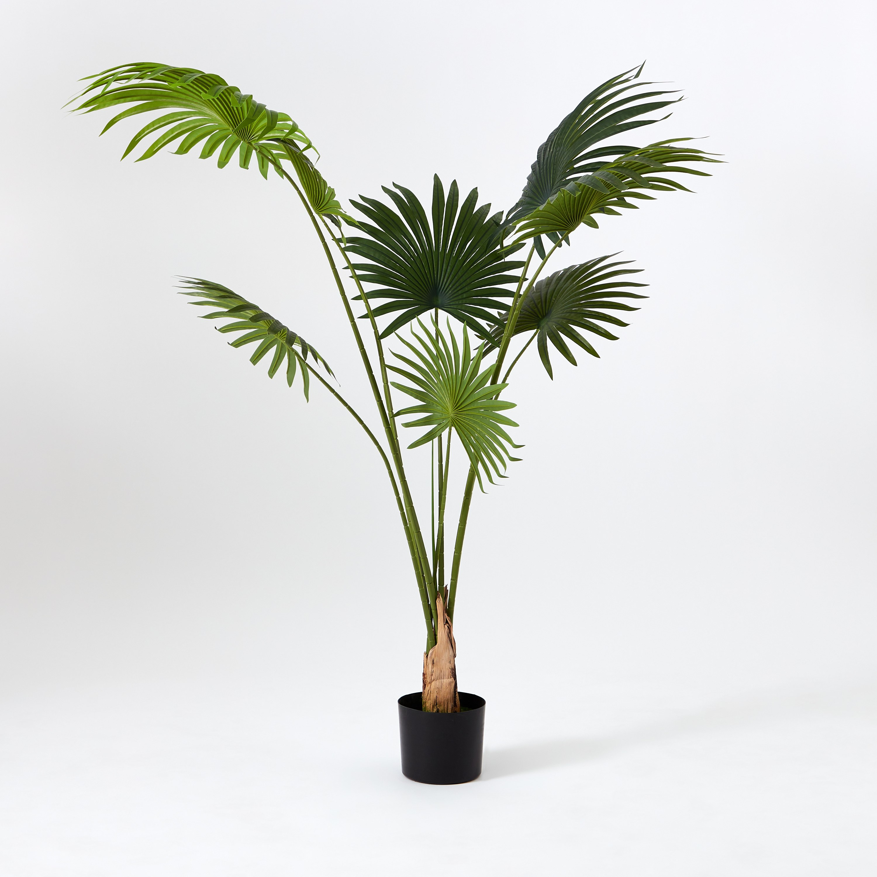شجرة نخيل من تيودوارا - 160 سم-hbxdecorandfurnishings-homeaccessories-artificialflowersandplants-image-5