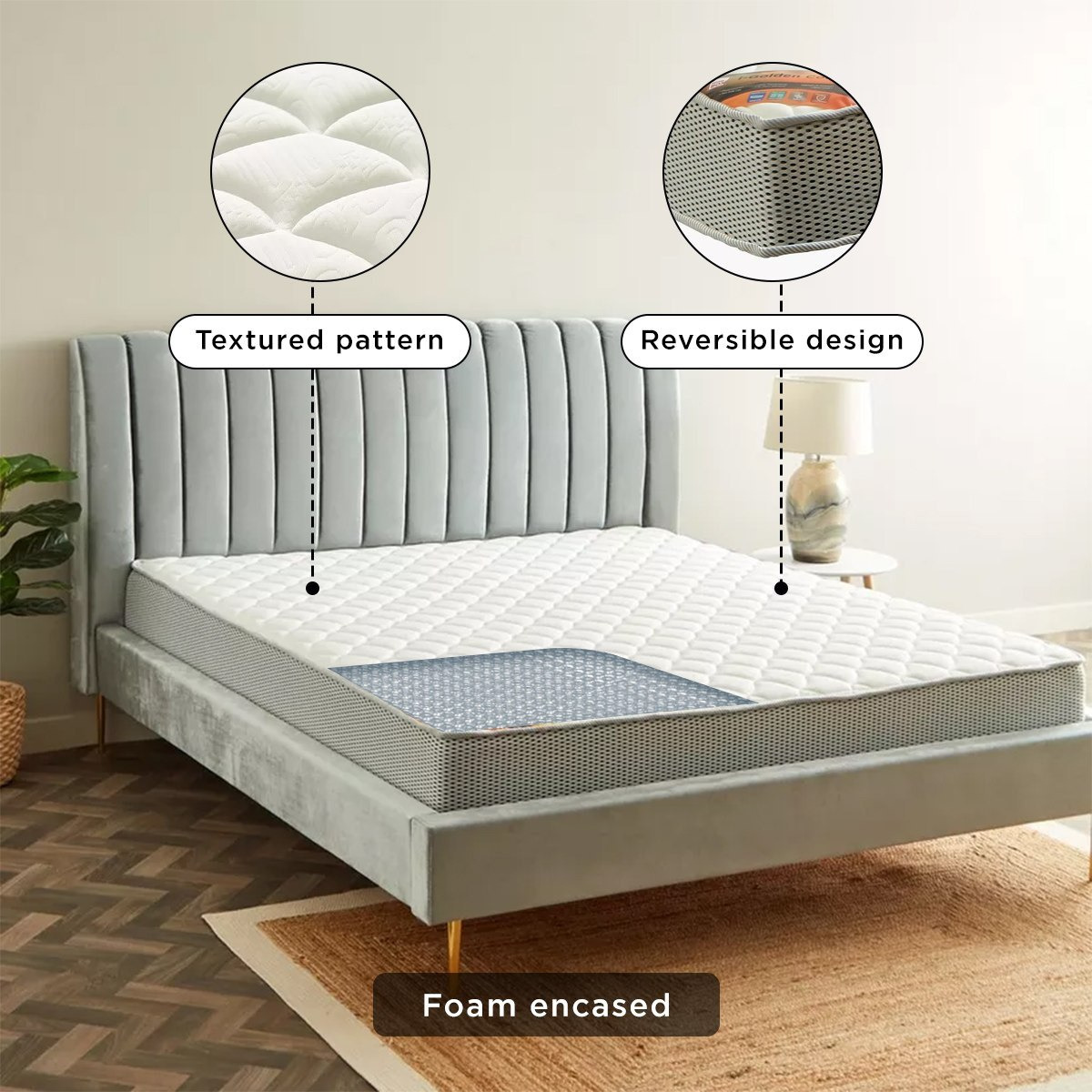 SleepNest iGolden Comfort Lux Medium Firm Pocket Spring Twin Mattress - 120x200x25 cm-hbxfurniture-mattresses-twin-image-12
