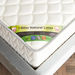 iBliss Natural Latex Queen Foam and Pocket Spring Mattress - 150x200x28 cm-Queen-thumbnail-3