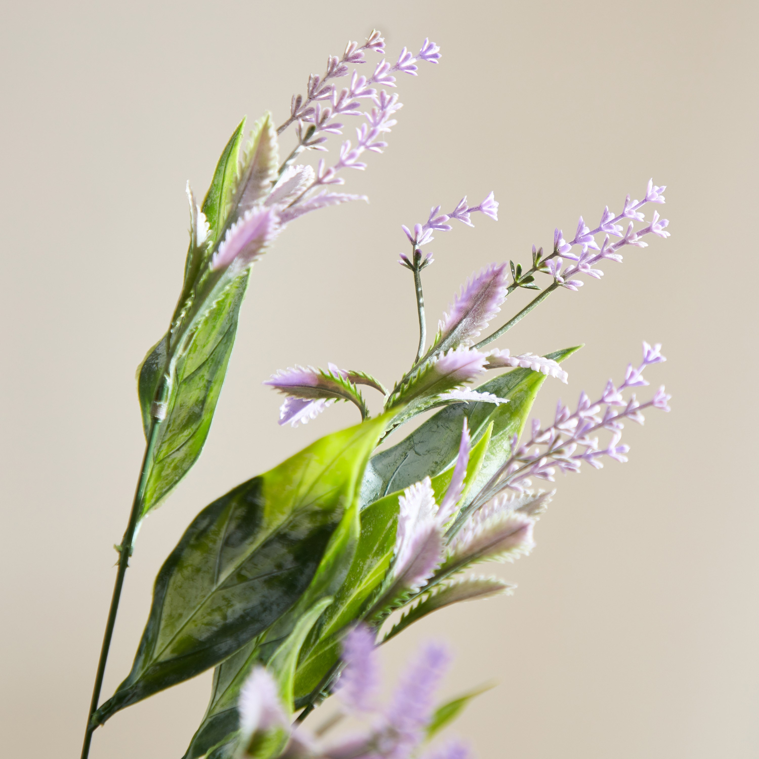 باقة زهور الخزامى من إيفلين - 38 سم-hbxdecorandfurnishings-homeaccessories-artificialflowersandplants-image-3