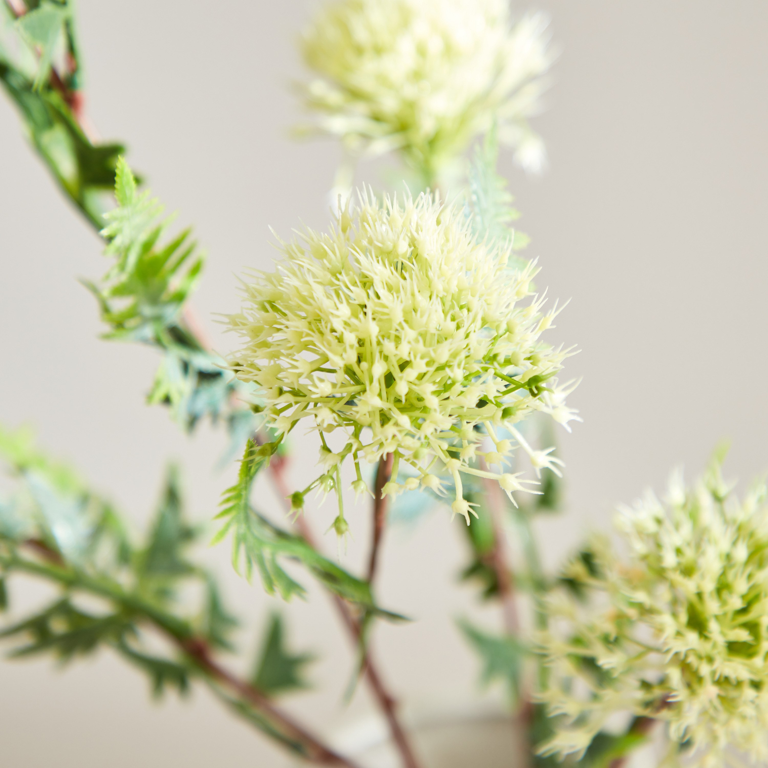 زهرة الهندباء بـ5 رؤوس من إيفلين - 63 سم-hbxdecorandfurnishings-homeaccessories-artificialflowersandplants-image-3
