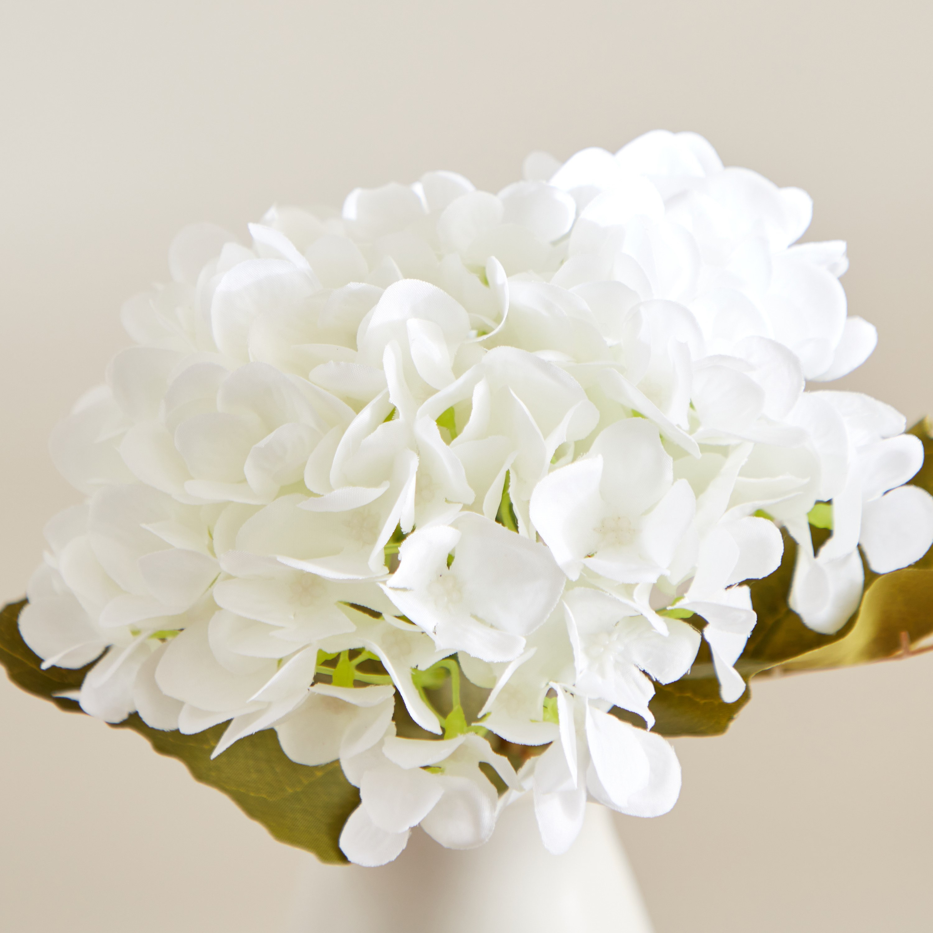 جذع زهرة الكوبية 90 بتلة من إيفلين- 46 سم-hbxdecorandfurnishings-homeaccessories-artificialflowersandplants-image-3