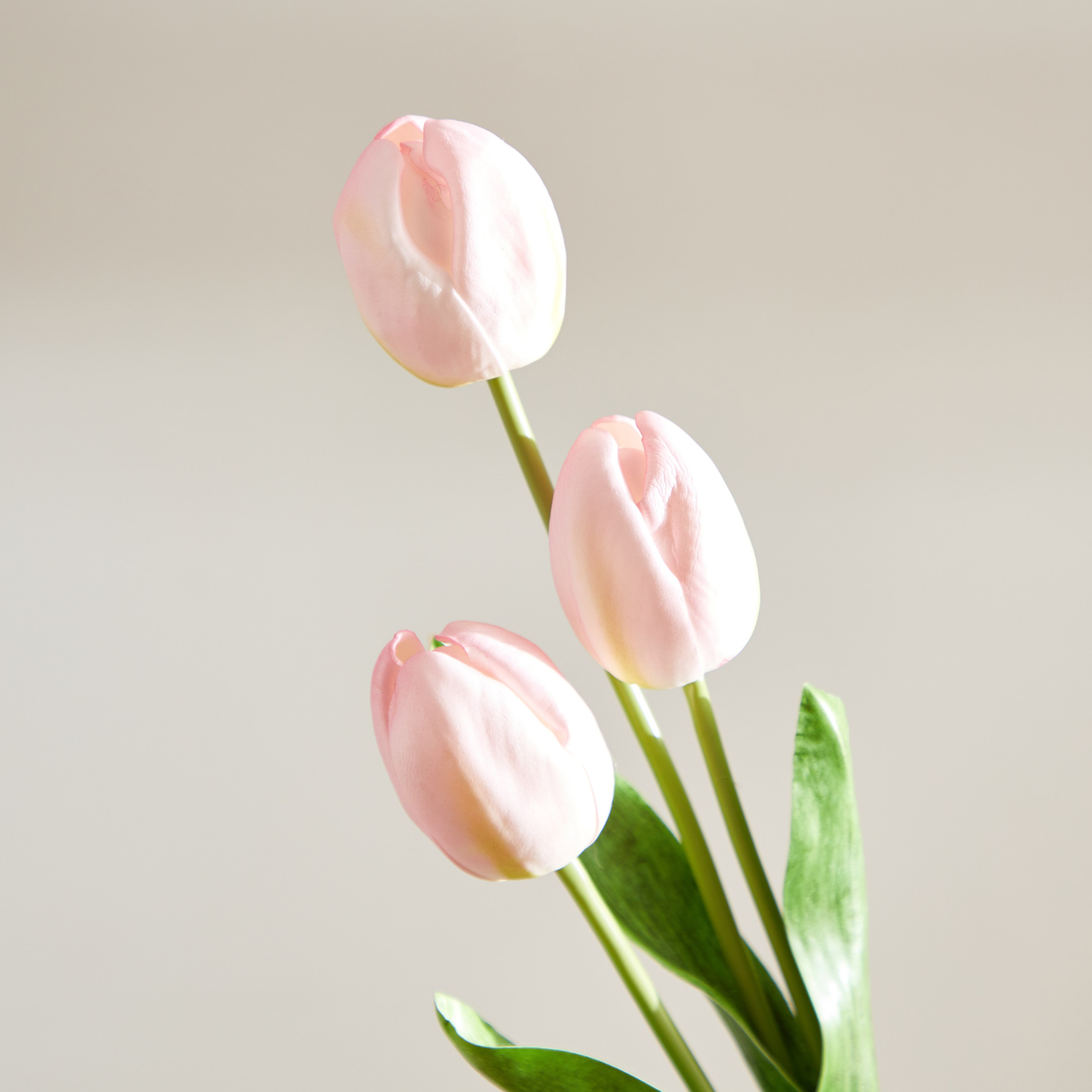 Evelyn 3-Heads Tulip Flower Stem - 55 cm-hbxdecorandfurnishings-homeaccessories-artificialflowersandplants-image-3