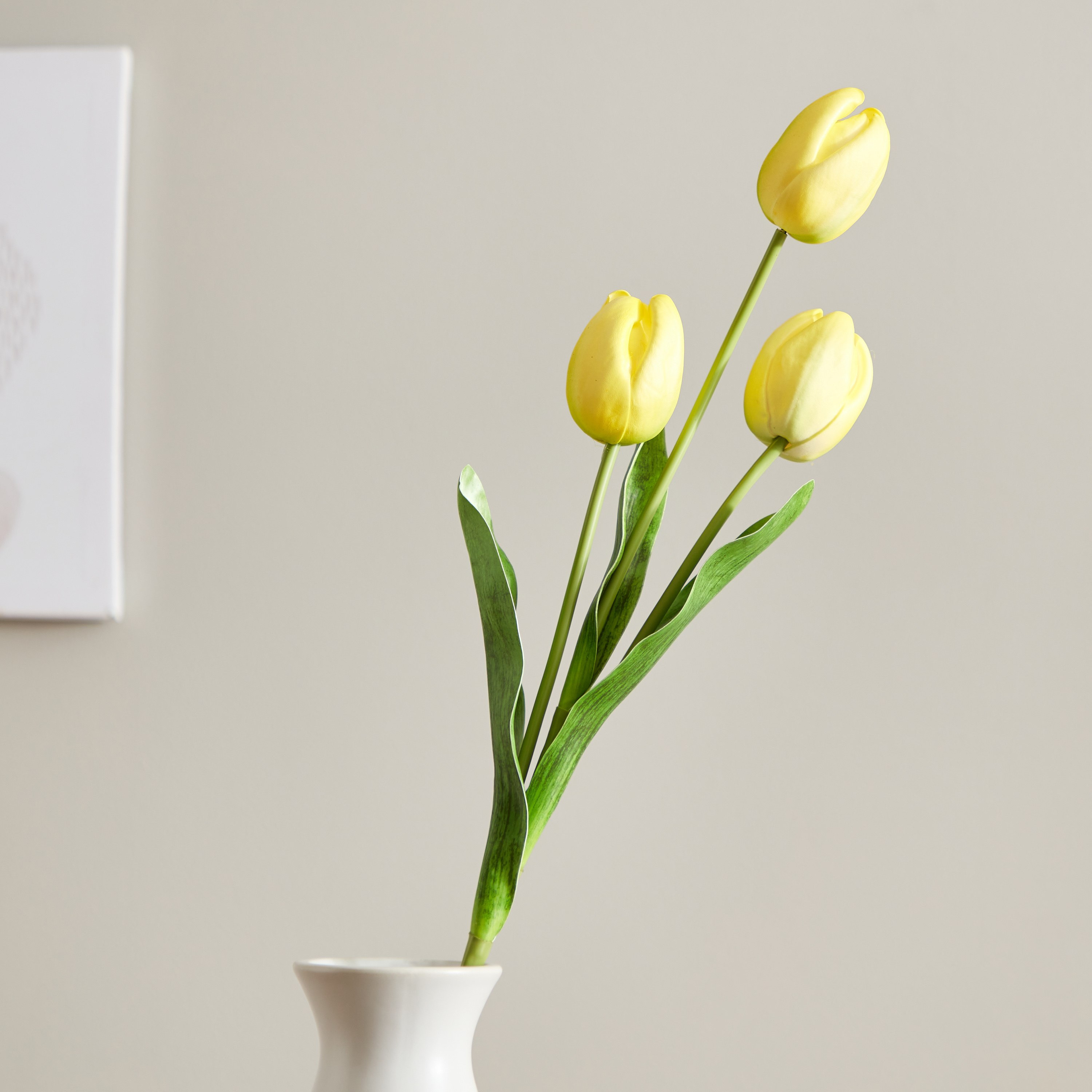 غصن زهرة التوليب بـ3 رؤوس من إيفلين - 55 سم-hbxdecorandfurnishings-homeaccessories-artificialflowersandplants-image-2