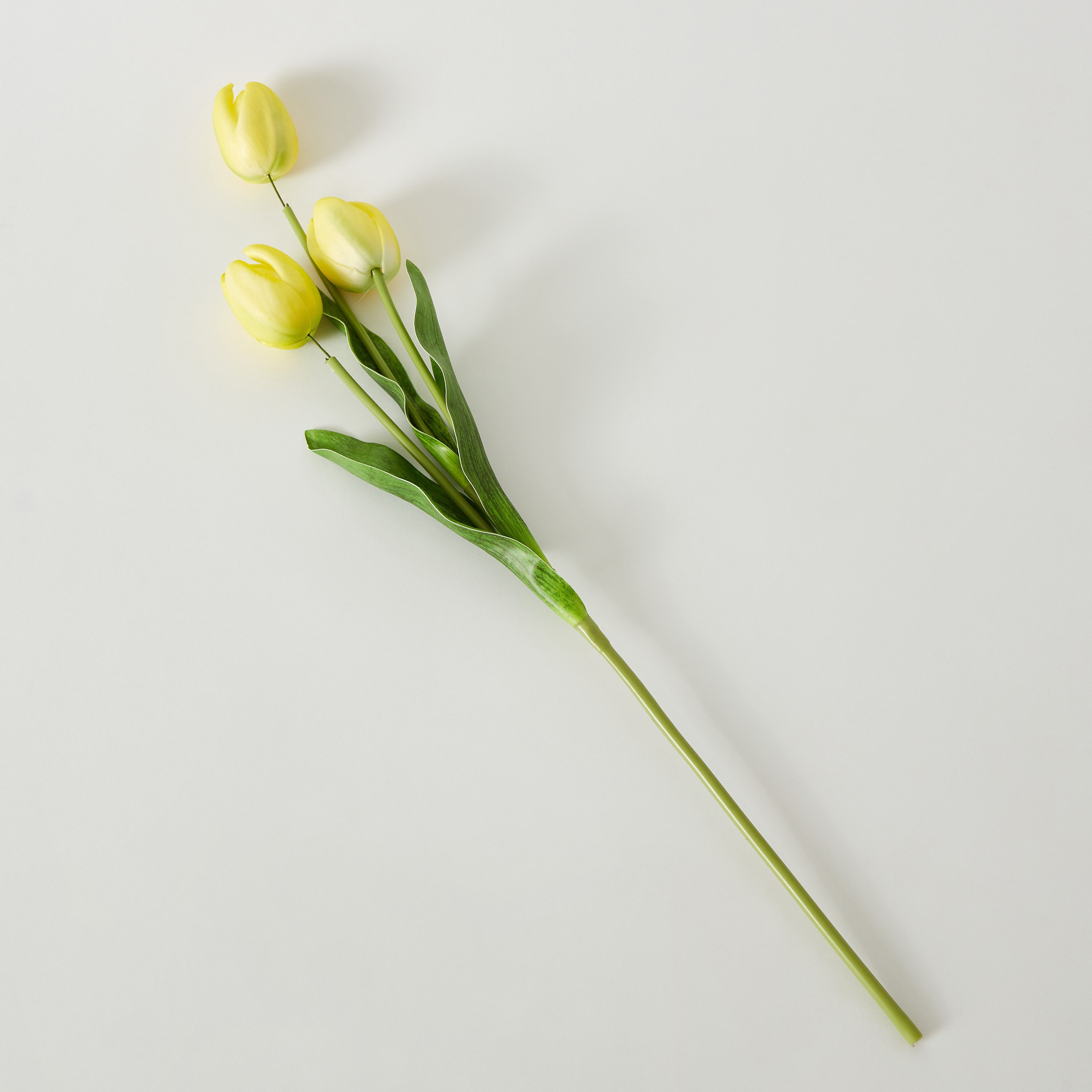غصن زهرة التوليب بـ3 رؤوس من إيفلين - 55 سم-hbxdecorandfurnishings-homeaccessories-artificialflowersandplants-image-4
